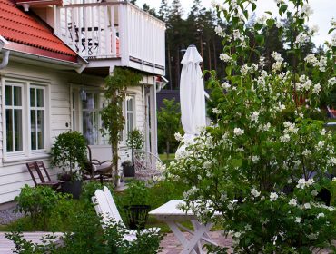 hemma-tradgarden-jasminebuske-1