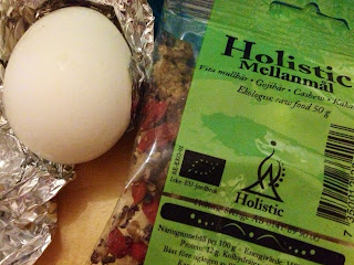 holistic-mellanmal-och-agg - Mellanmål på resande fot