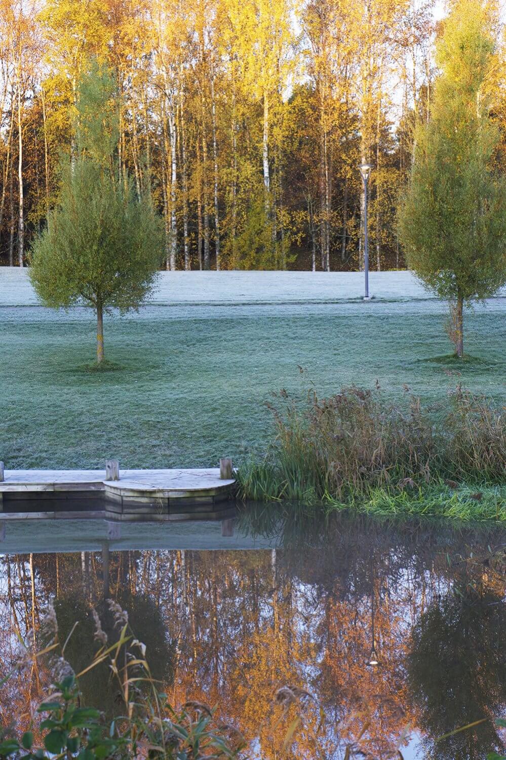 promenad en vacker och frostig höstmorgon