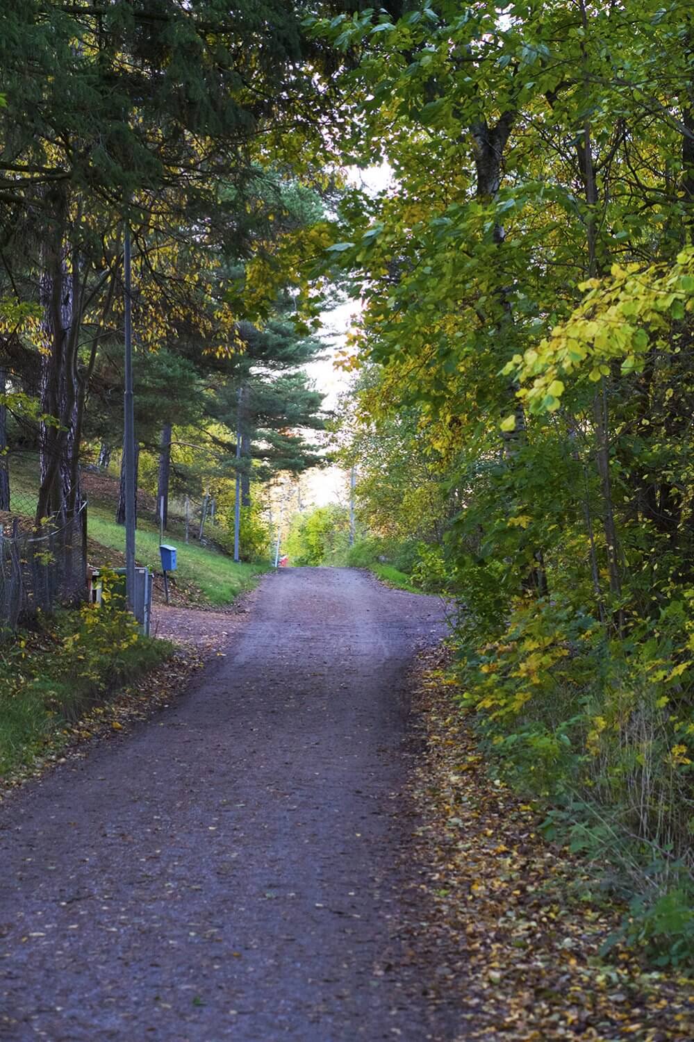 promenad en vacker och frostig höstmorgon