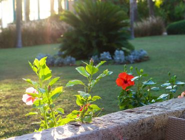 hotell-kemer-turkiet-morgon-2