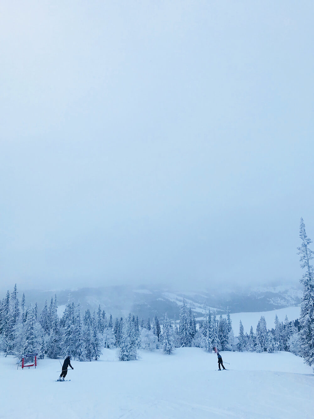 skidåkning i Åre Björnen