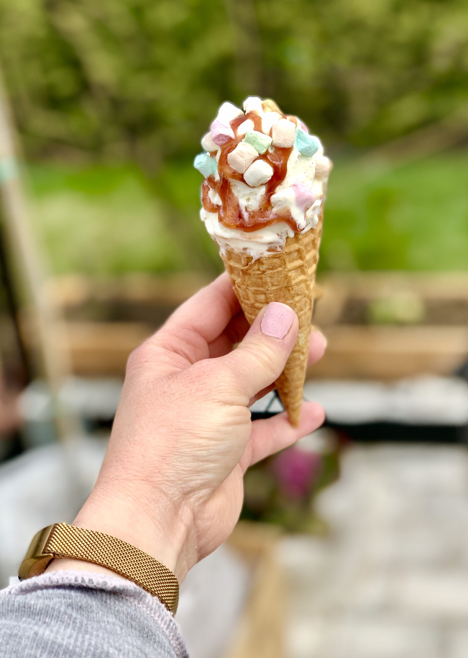 img_0177-scaled - En ny arbetsvecka på ingång!