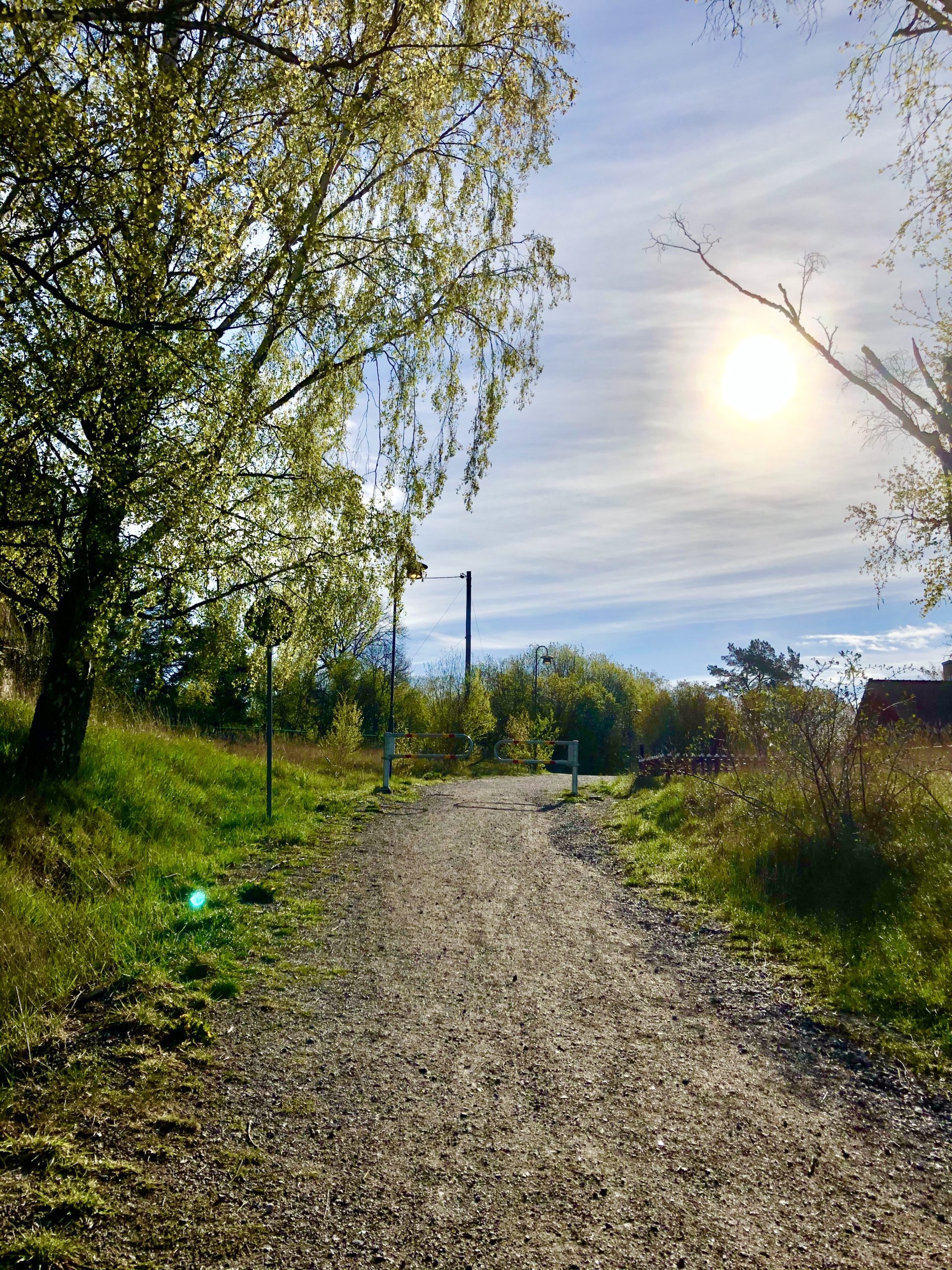 Morgonpromenad i maj