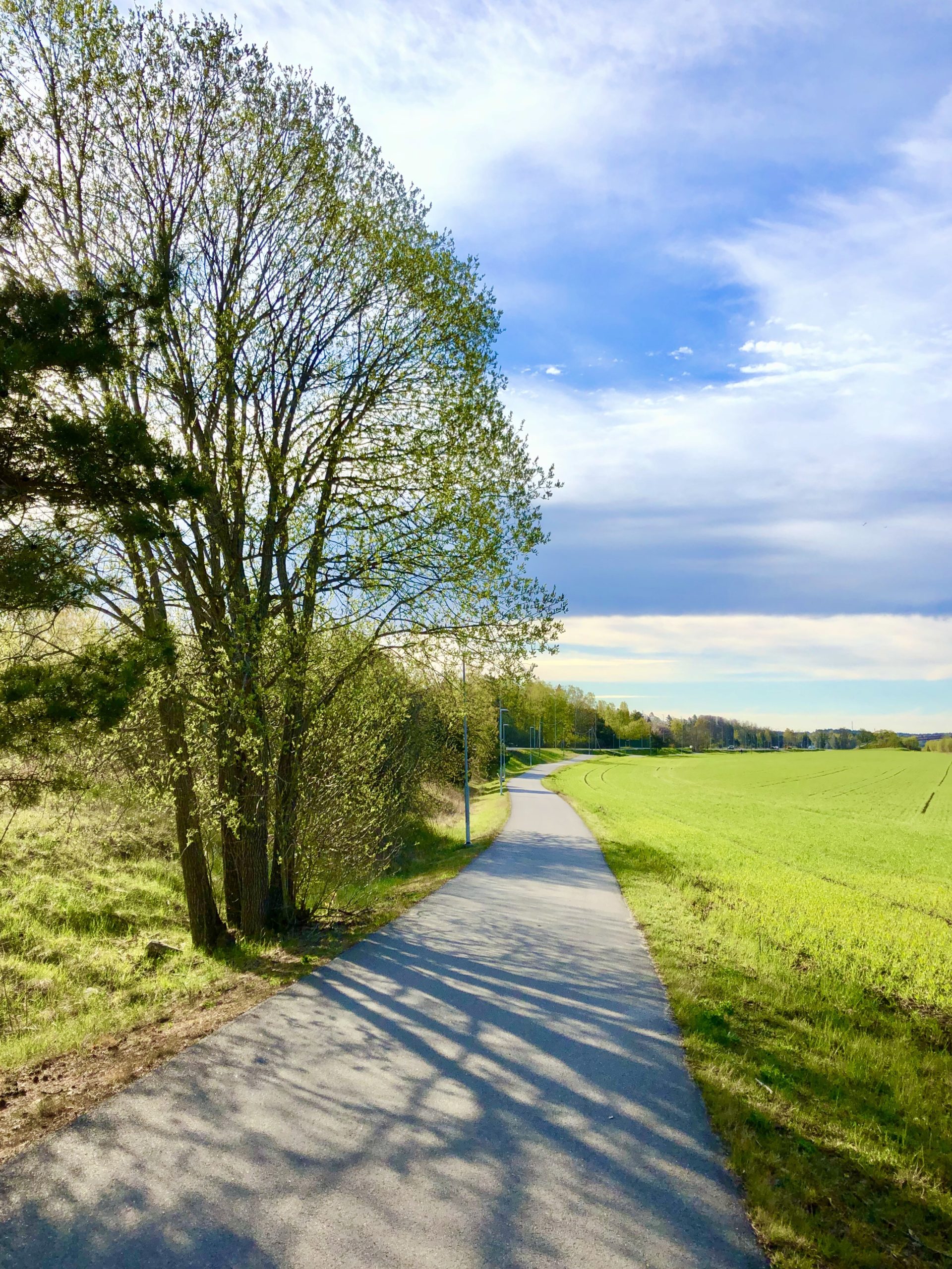 Morgonpromenad i maj