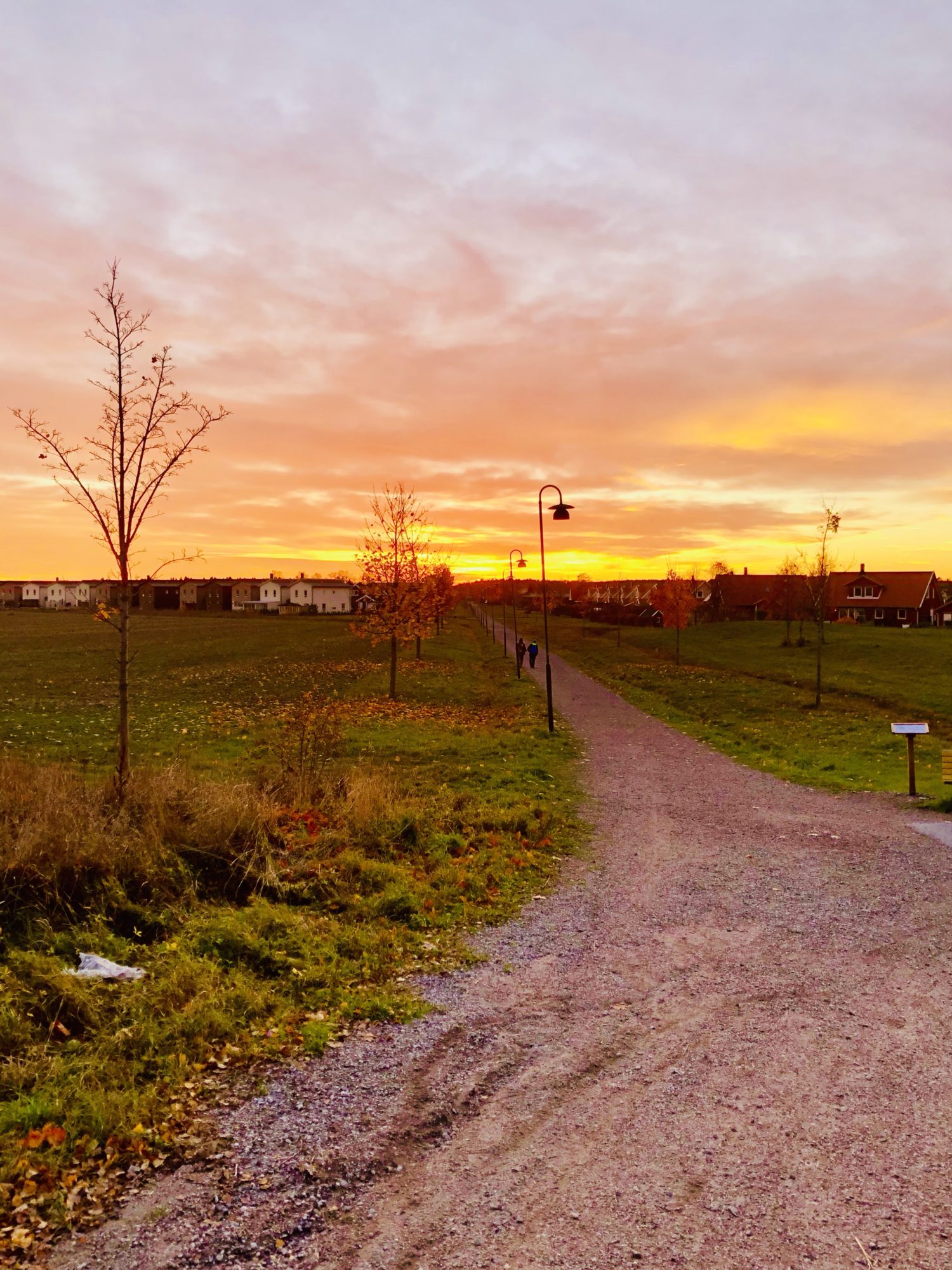 En lantlig väg i solnedgång