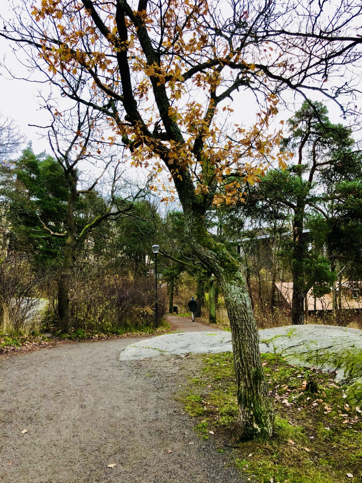 Kungsholmen Runt löpning