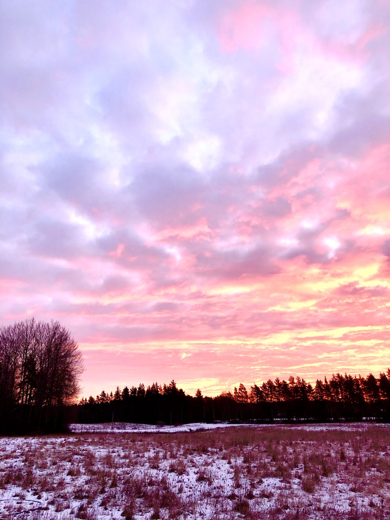 img_2160 - Veckans bästa ♥