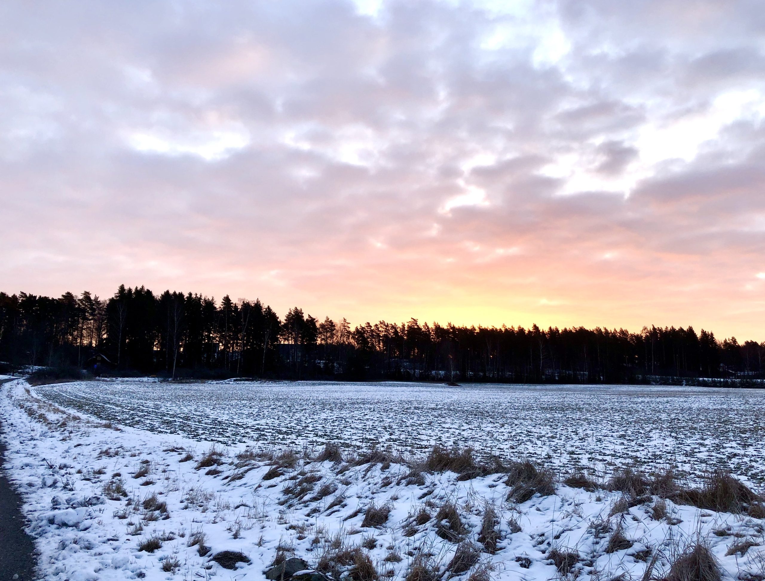 img_2166-e1552021291437-scaled - Veckans bästa ♥