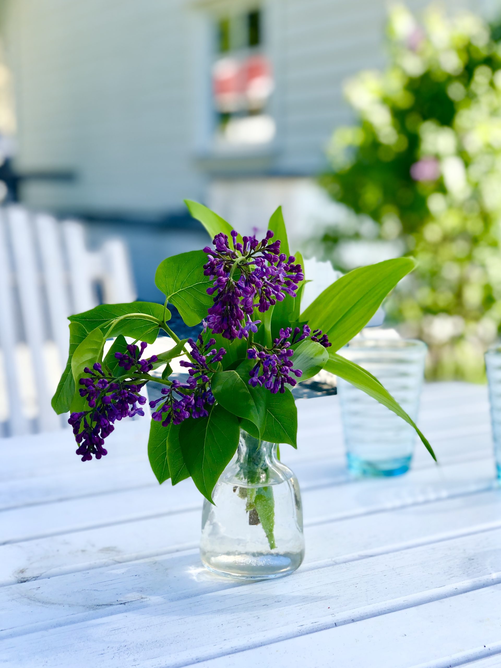 img_2210-1-scaled-1 - En morsdag att minnas - min åttonde morsdag