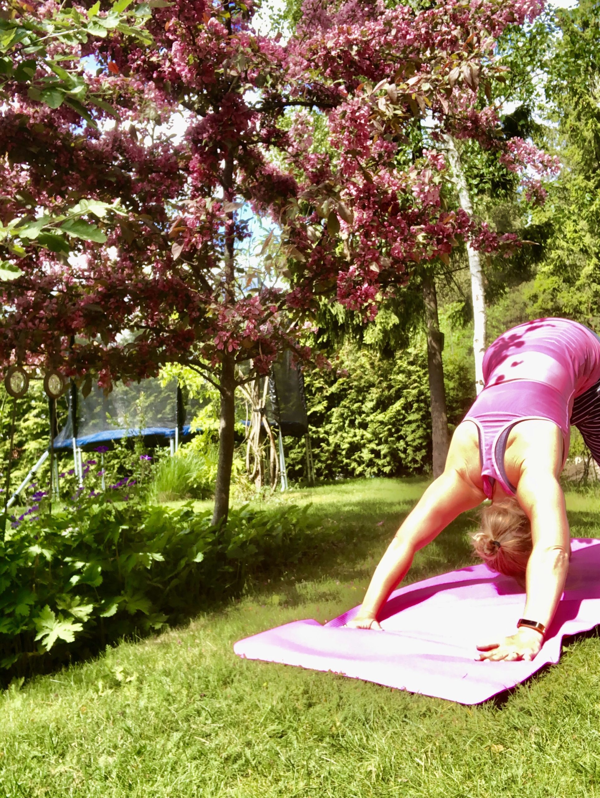 Yoga i trädgården