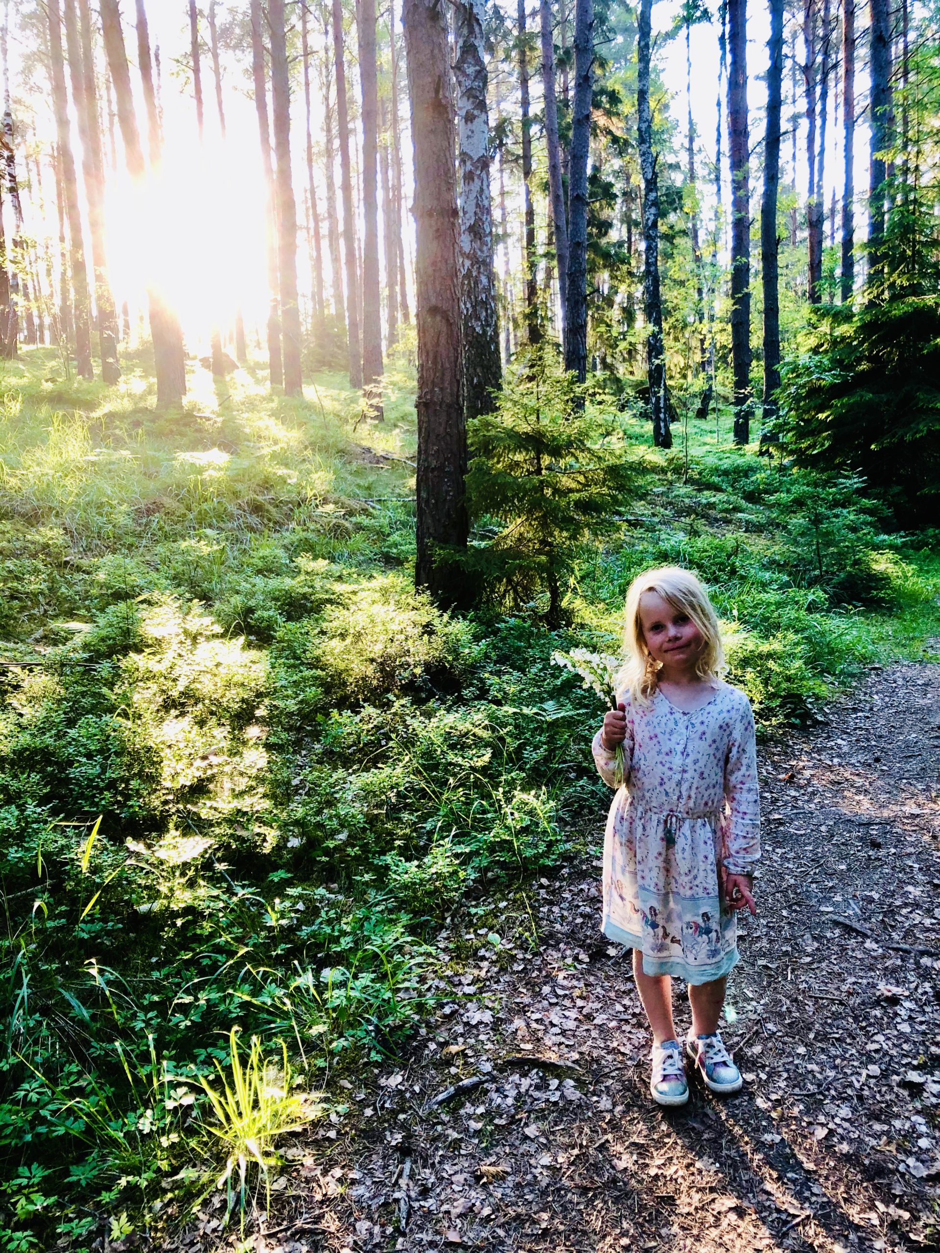 Liljekonvaljplock i skogen