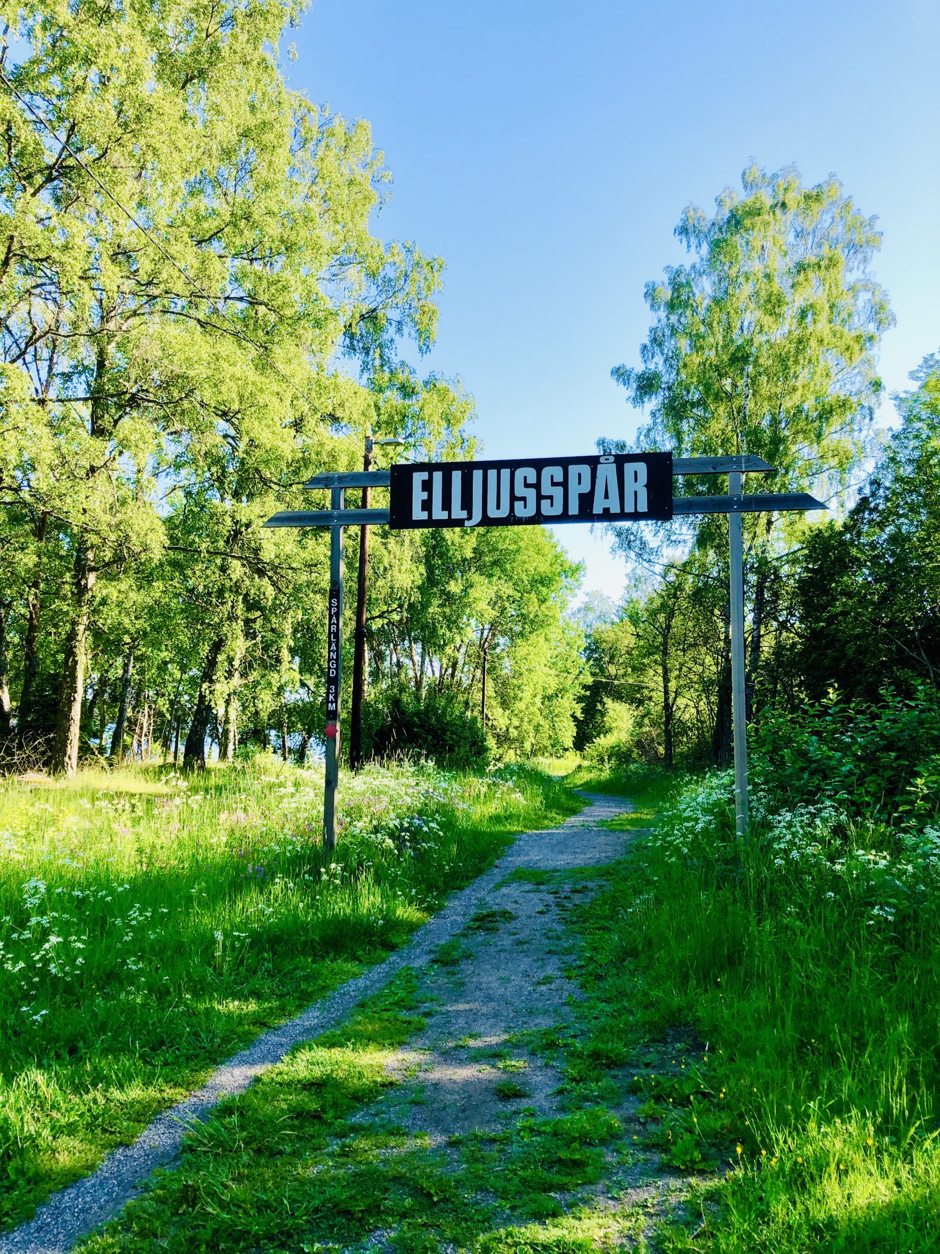 Elljusspår