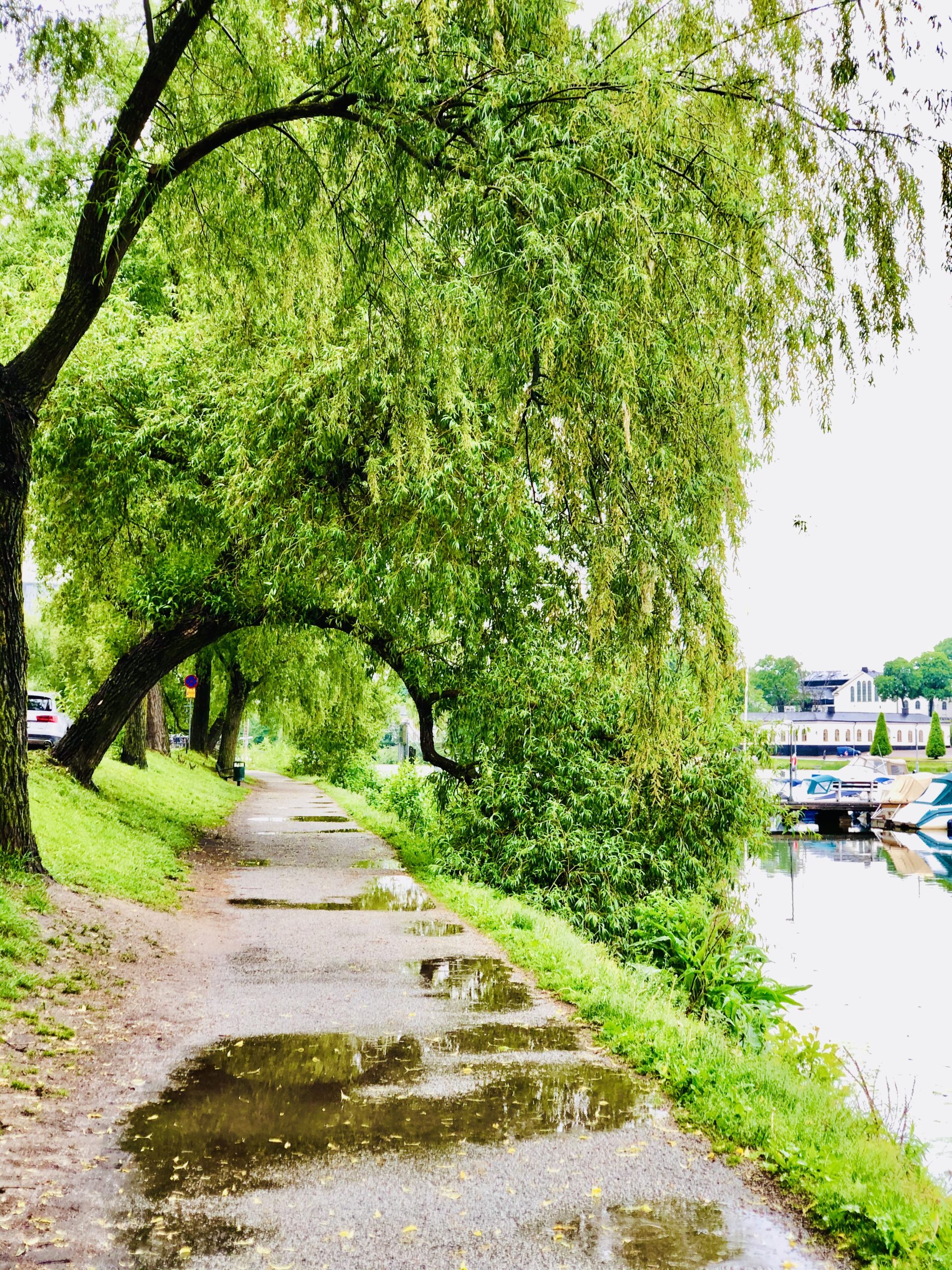 img_3041-scaled - Några snabba från idag