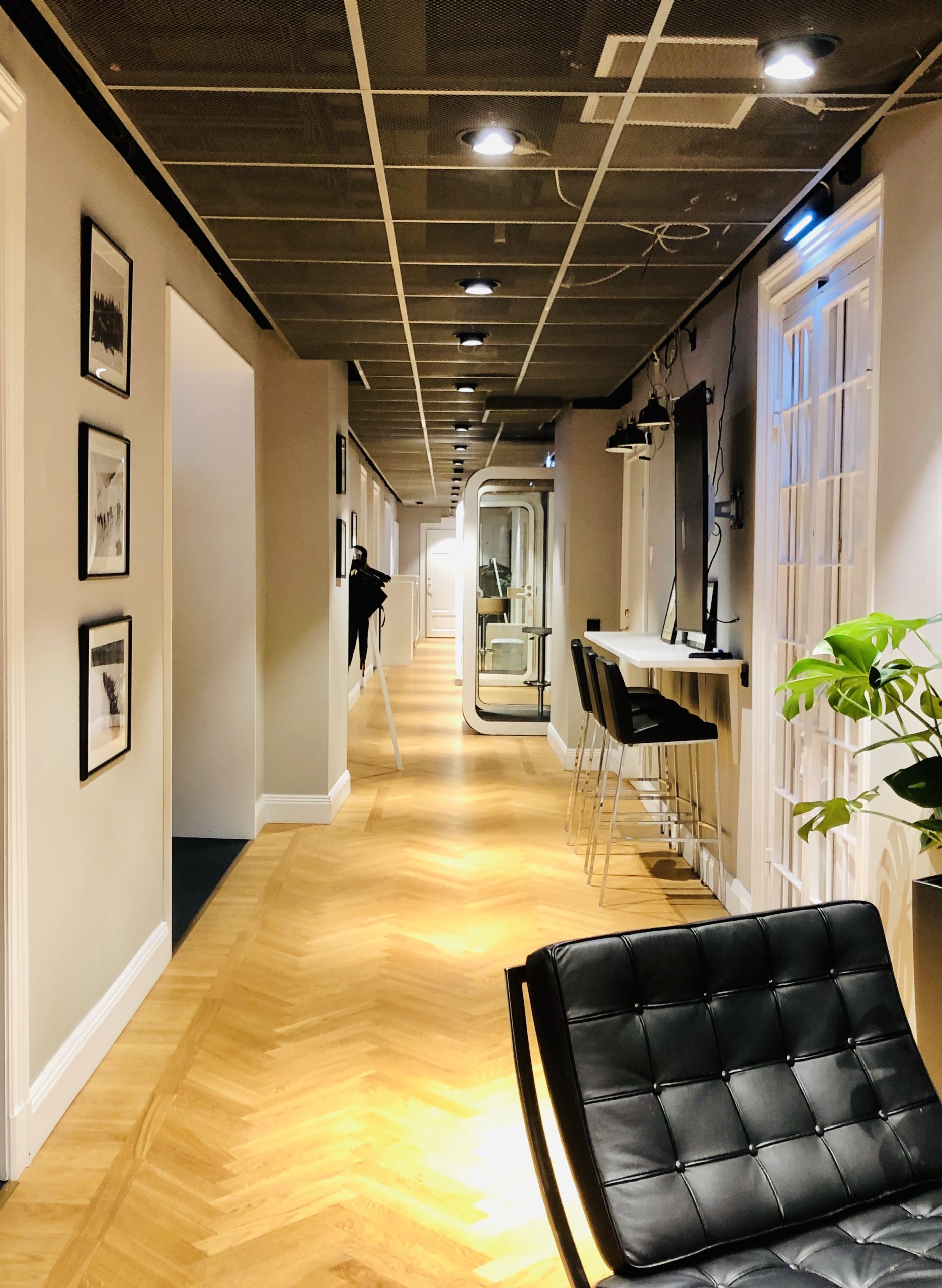 img_3049-scaled - Några snabba från idag