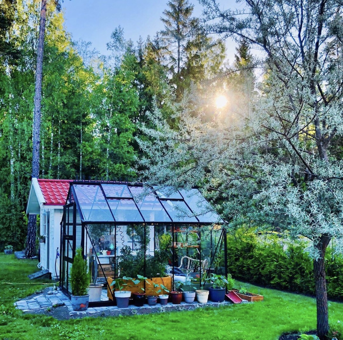 img_3144 - Midsommarveckan och Veckans Bästa ♥