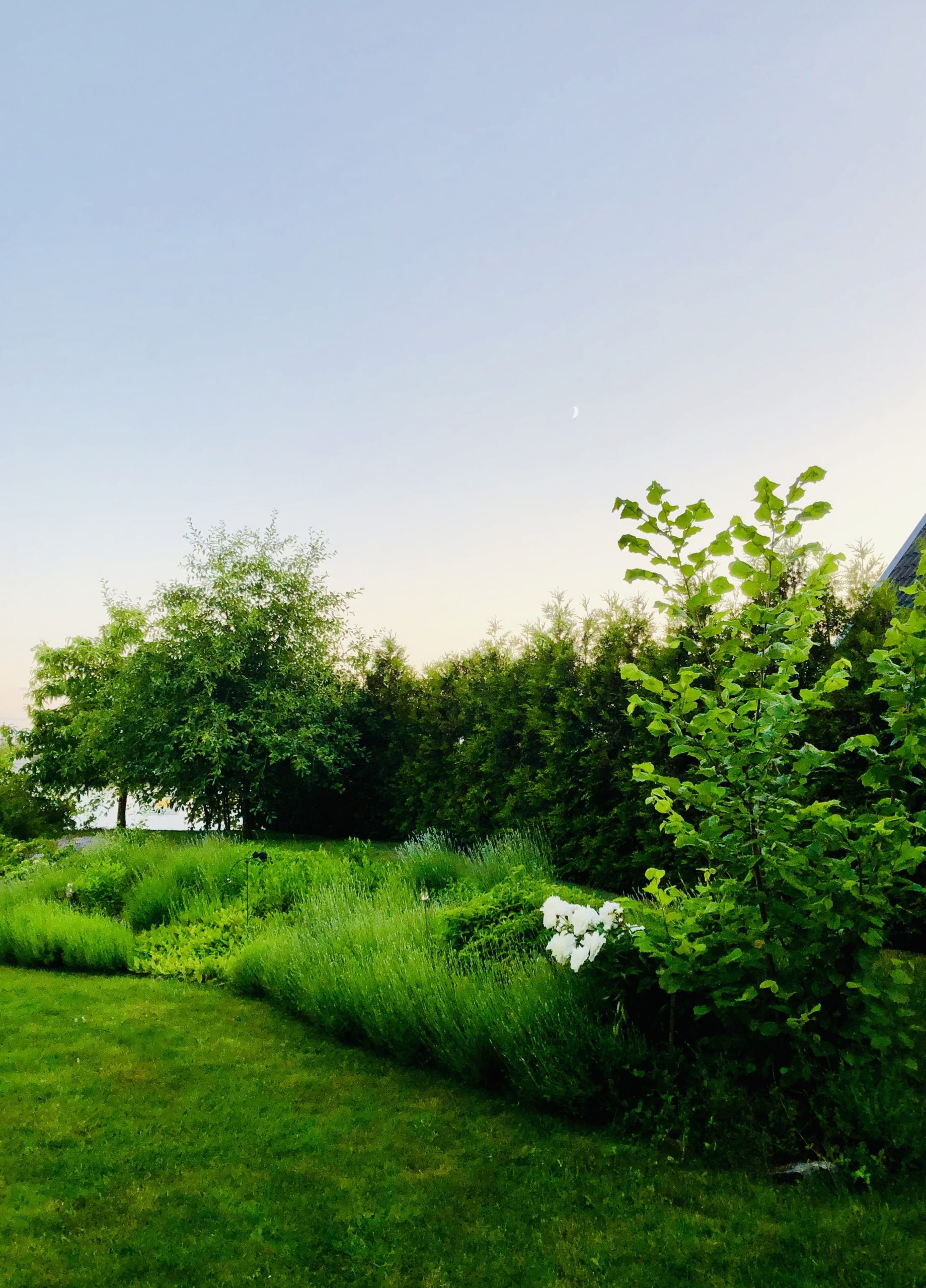 img_3691-scaled-1 - Semestern har börjat och jag njuter!