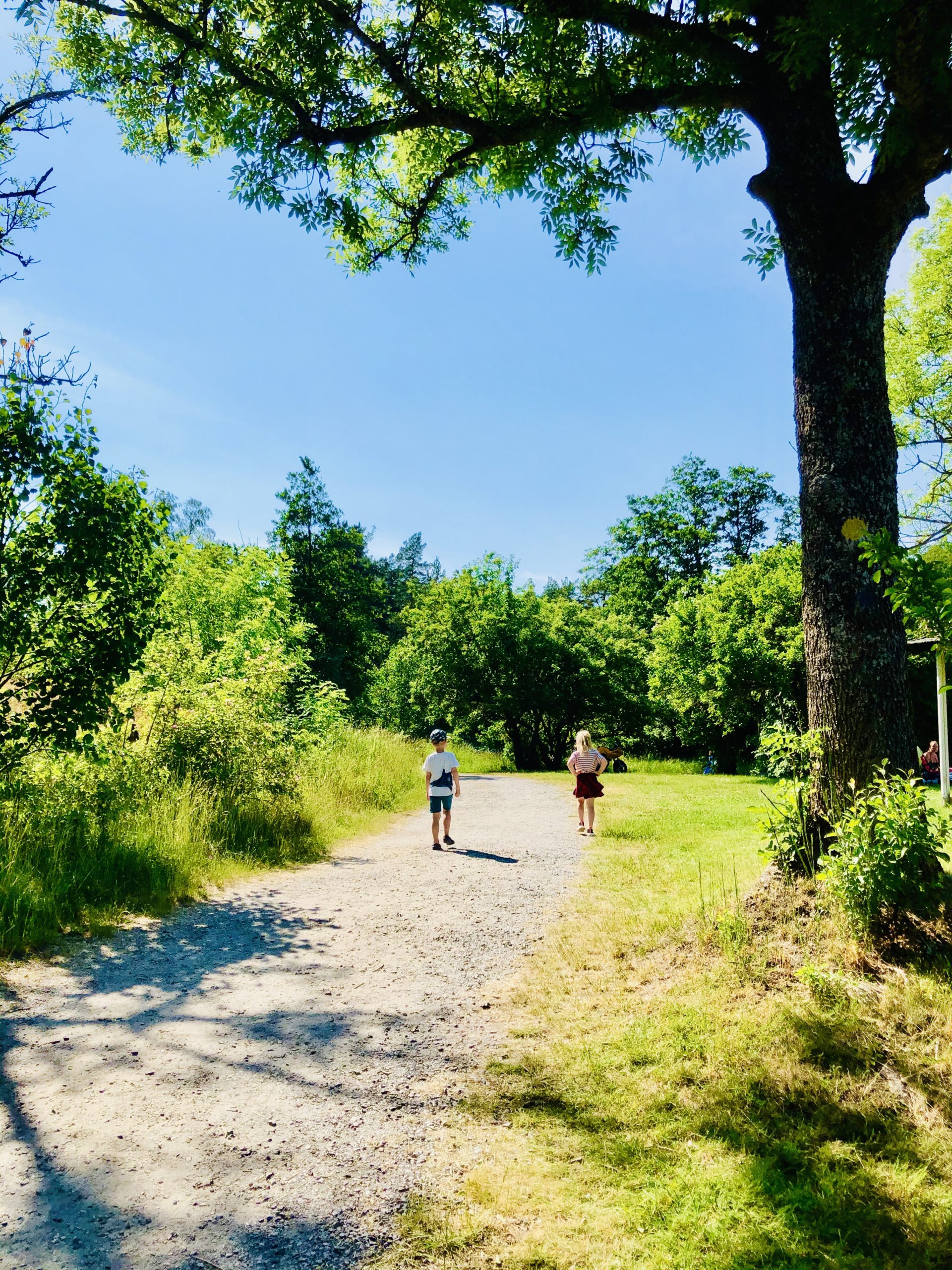 img_3727-scaled-1 - Semestern har börjat och jag njuter!