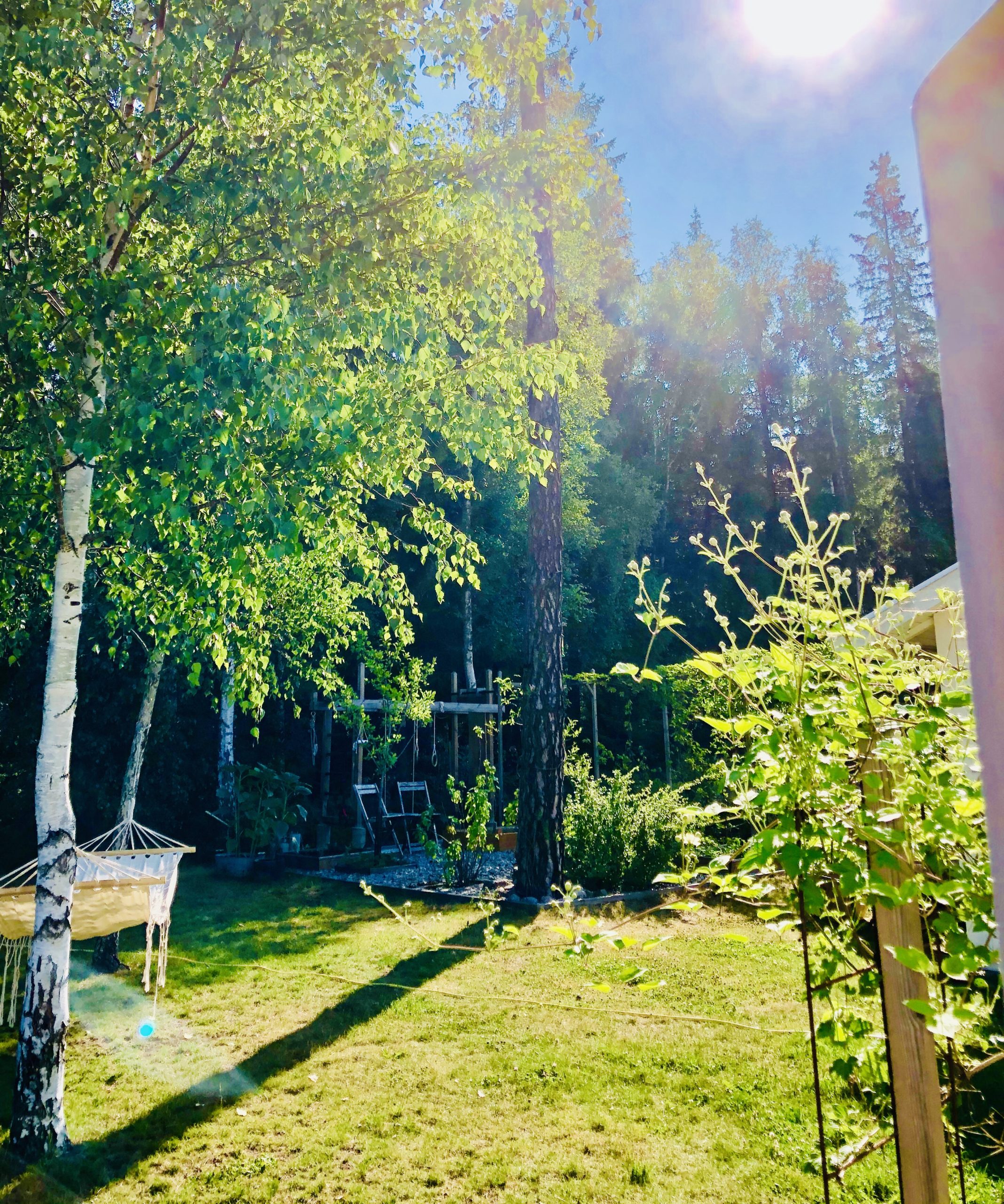 img_3773-scaled-1 - Semestern har börjat och jag njuter!