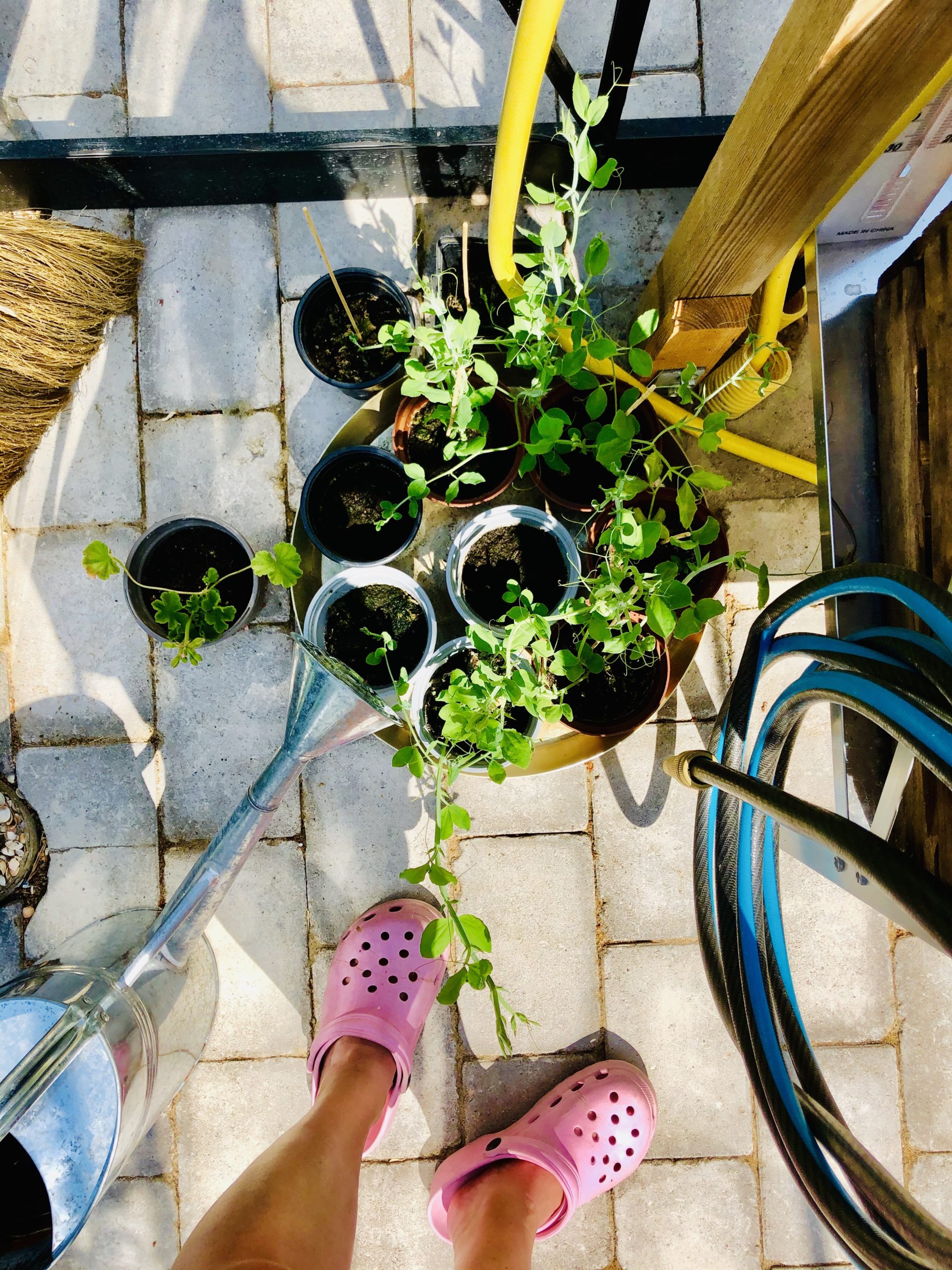 img_3784-scaled-1 - Semestern har börjat och jag njuter!