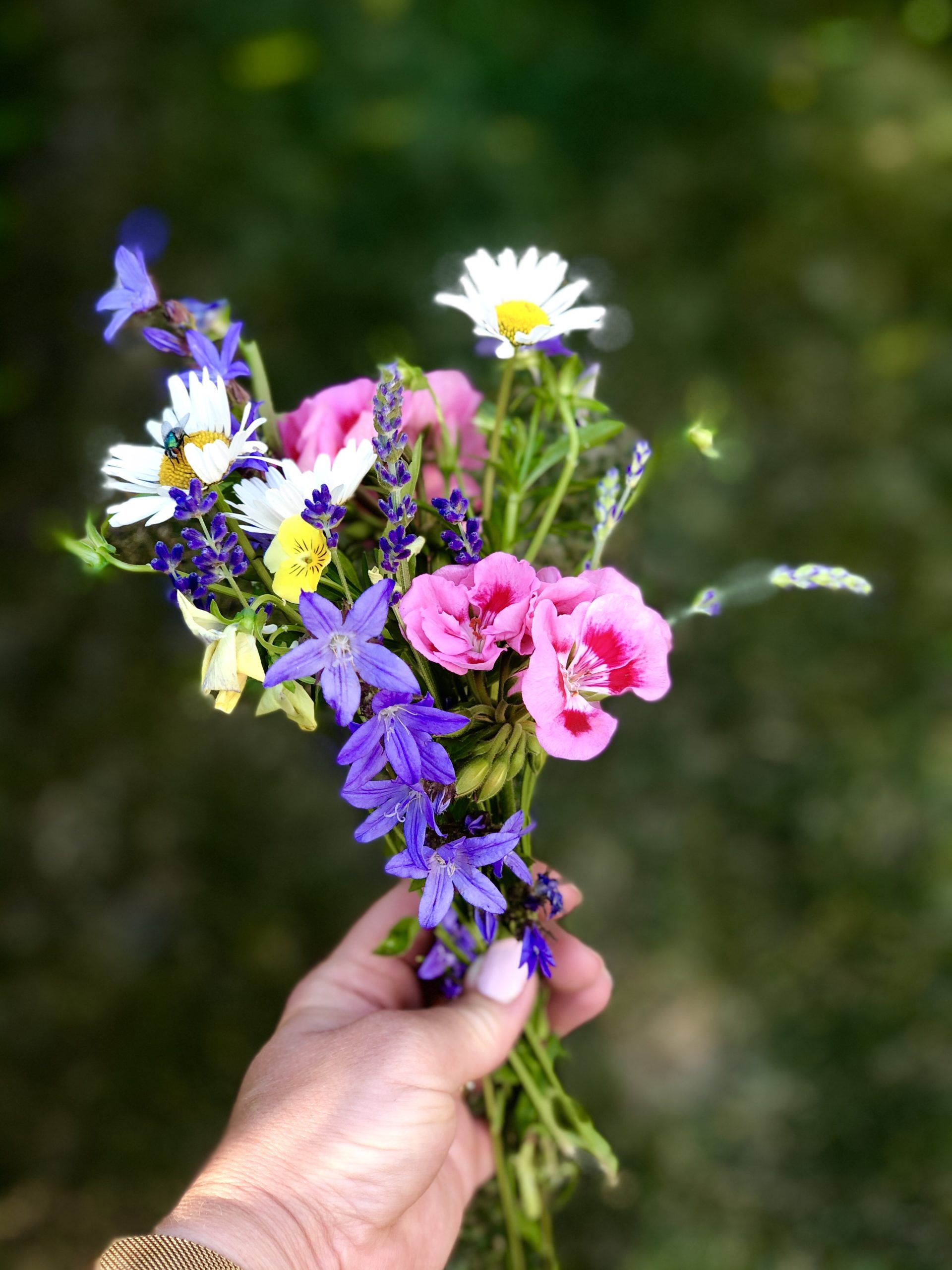 img_3786-scaled-1 - Semestern har börjat och jag njuter!