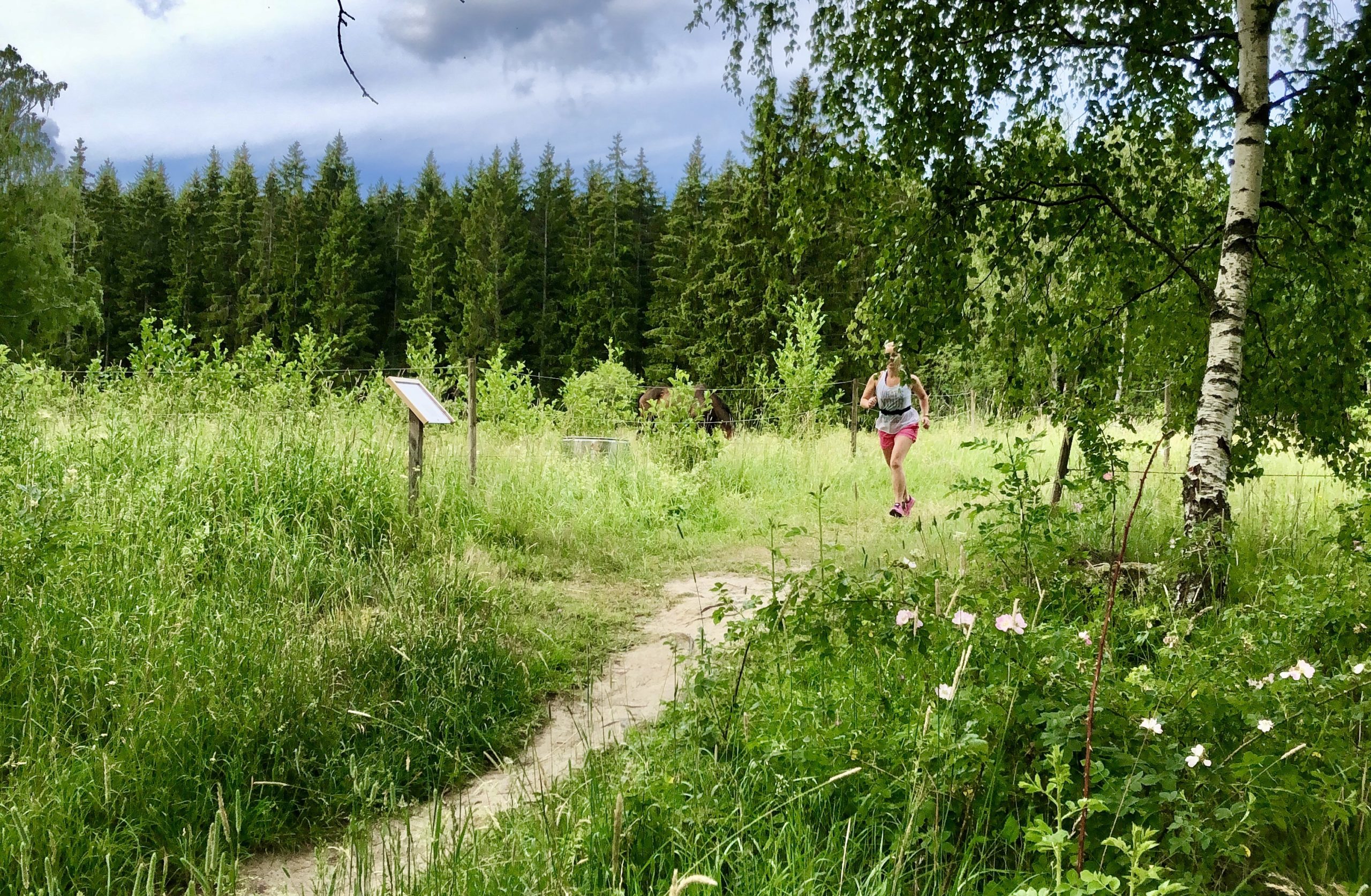 Löpning - Spring så snackar vi