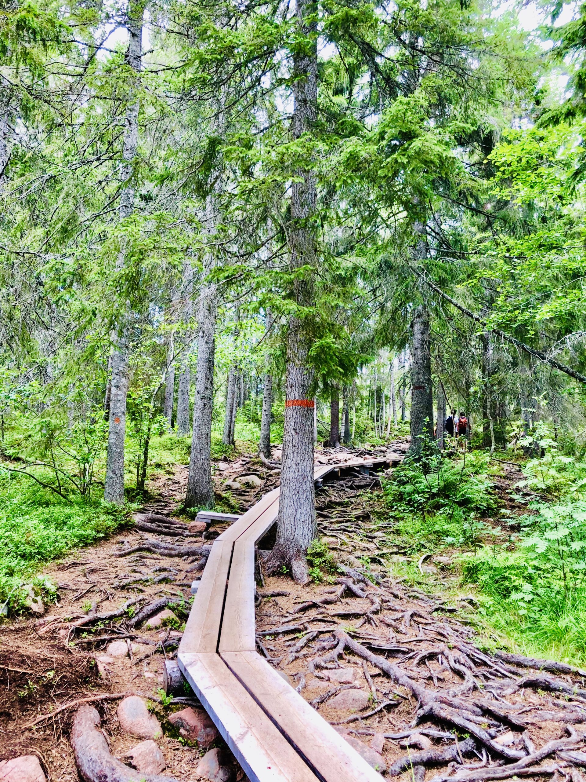 Vandring Slåttdalsskrevan