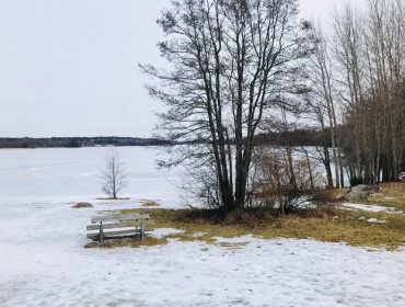 img_4733