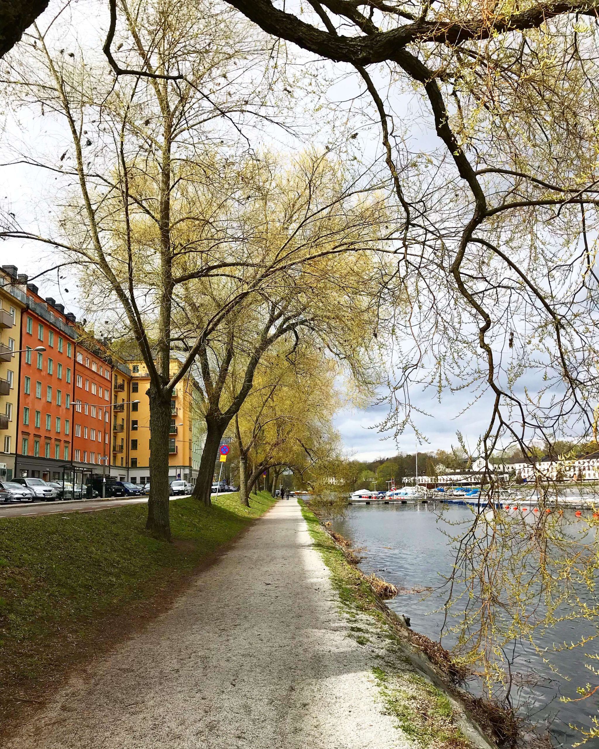 img_5136-1-scaled - Veckans bästa ♥