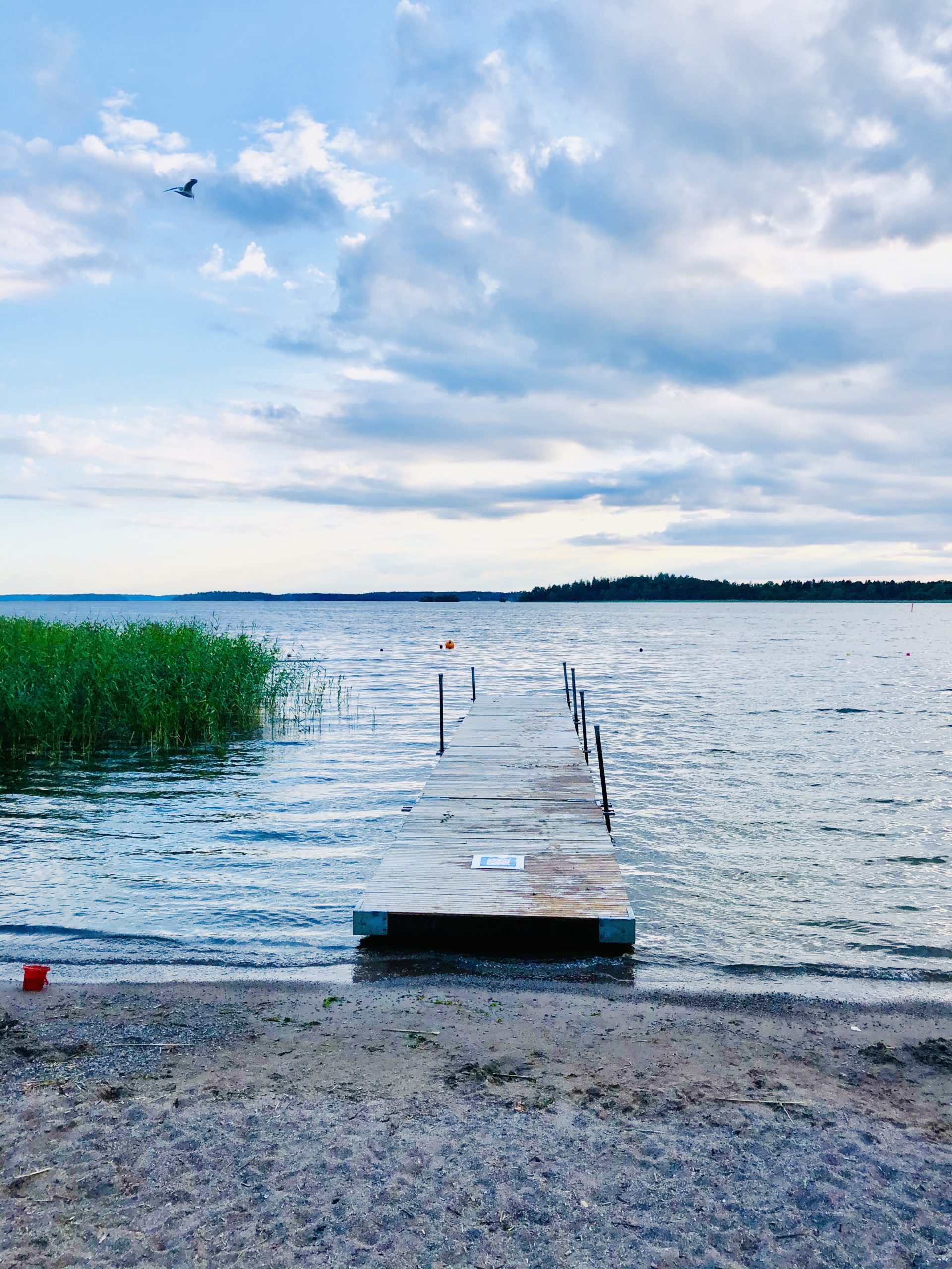 img_5264-scaled-1 - En typisk semesterdag hemma hos oss