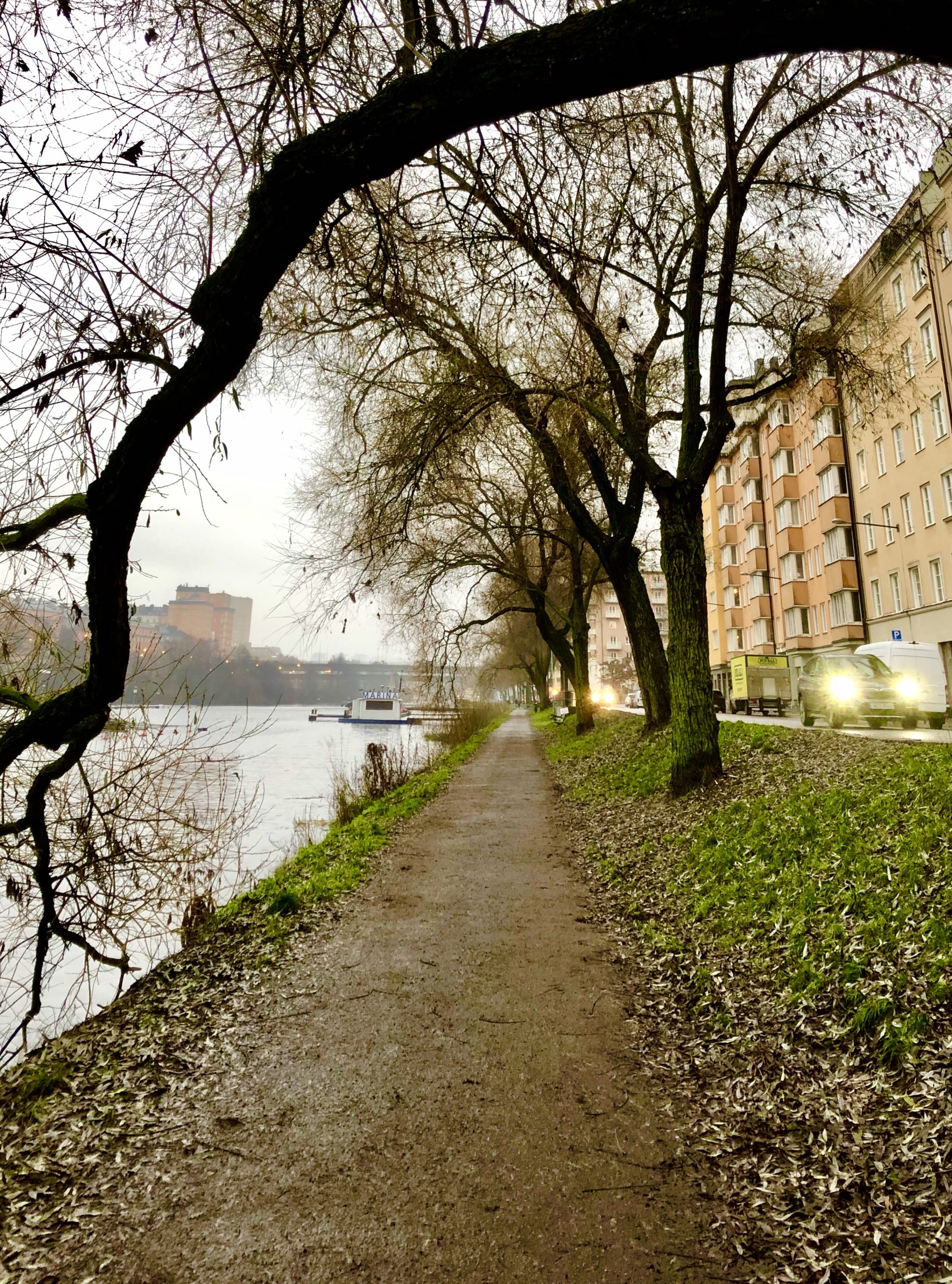 img_5335-scaled - Veckans bästa ♥