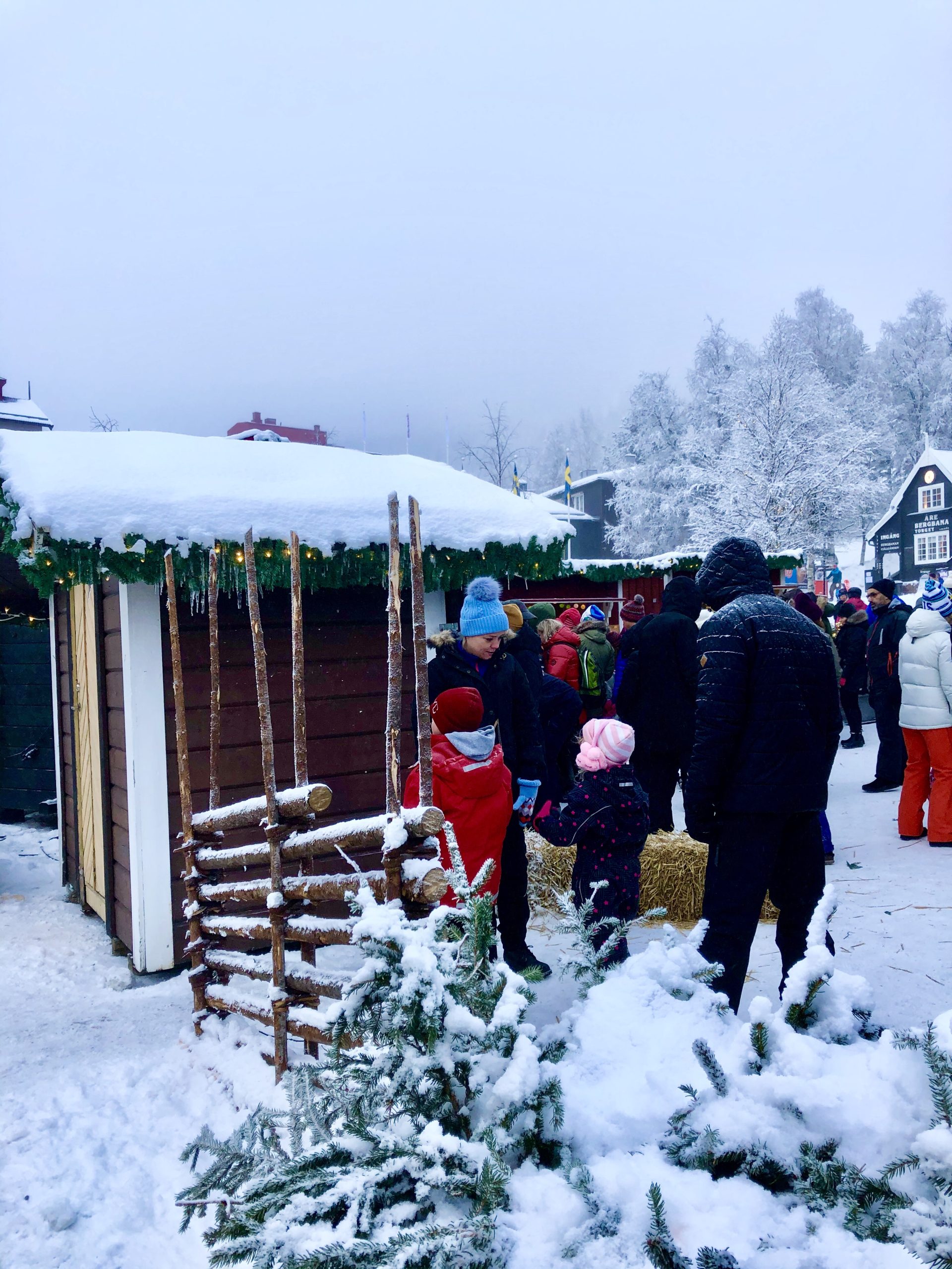 img_6009-scaled - Julafton 2019 i Åre