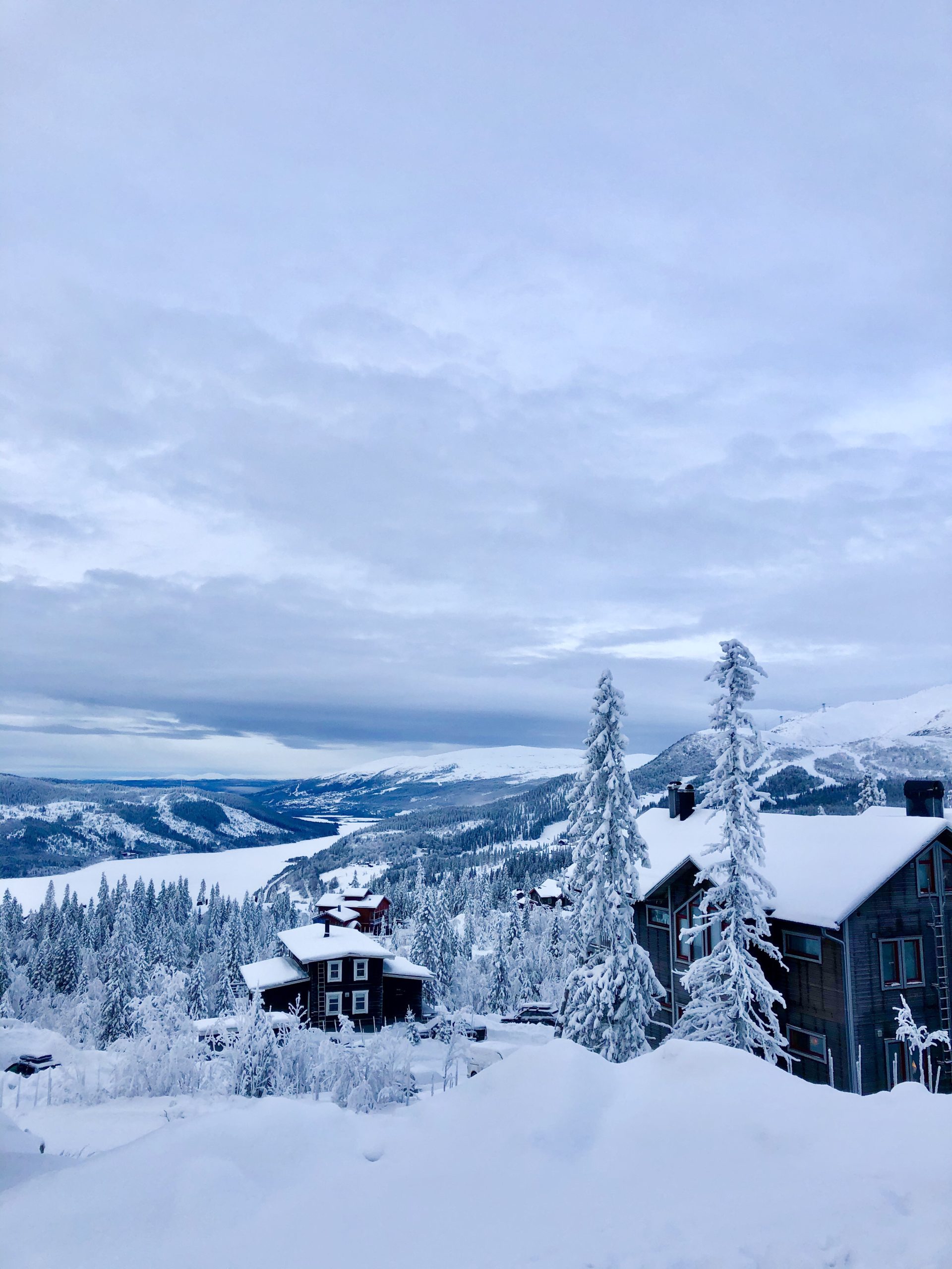Jag springer fortfarande för Terese - backlöpning i Åre