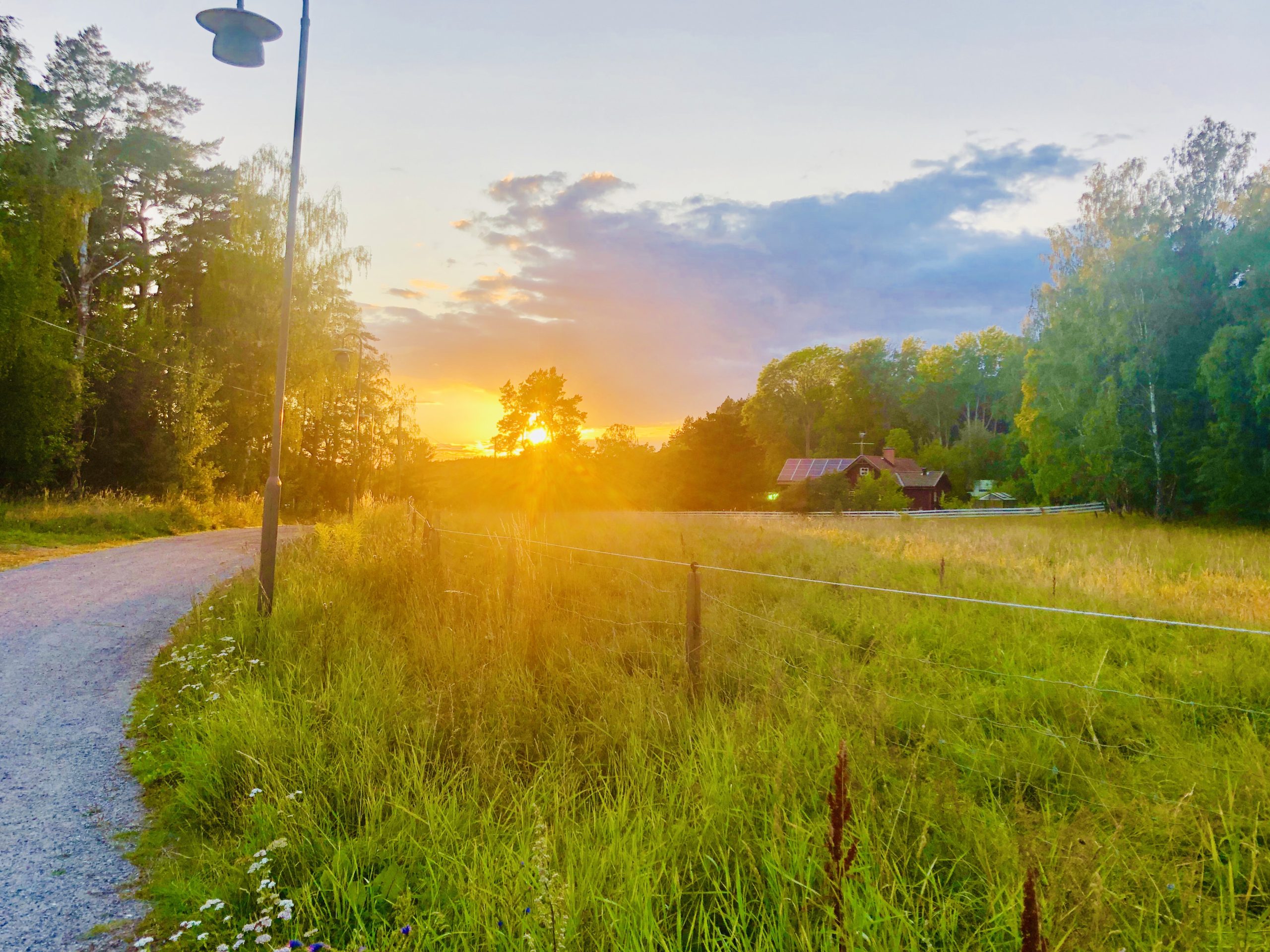 img_6504-scaled - Veckans Bästa ♥ - Tillbaka med Veckans Bästa!