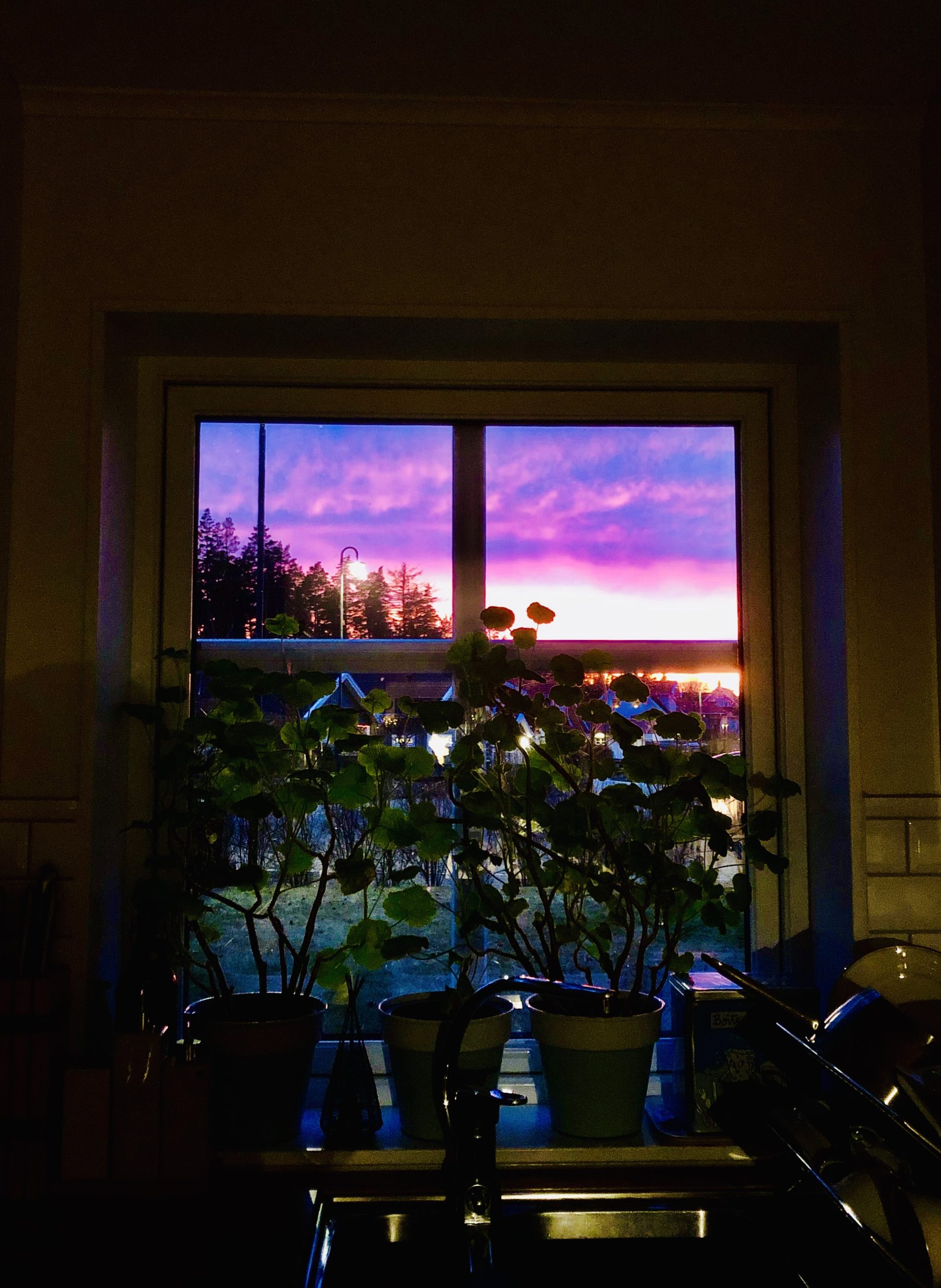 img_6551-scaled - En frisk och bra start på 2020