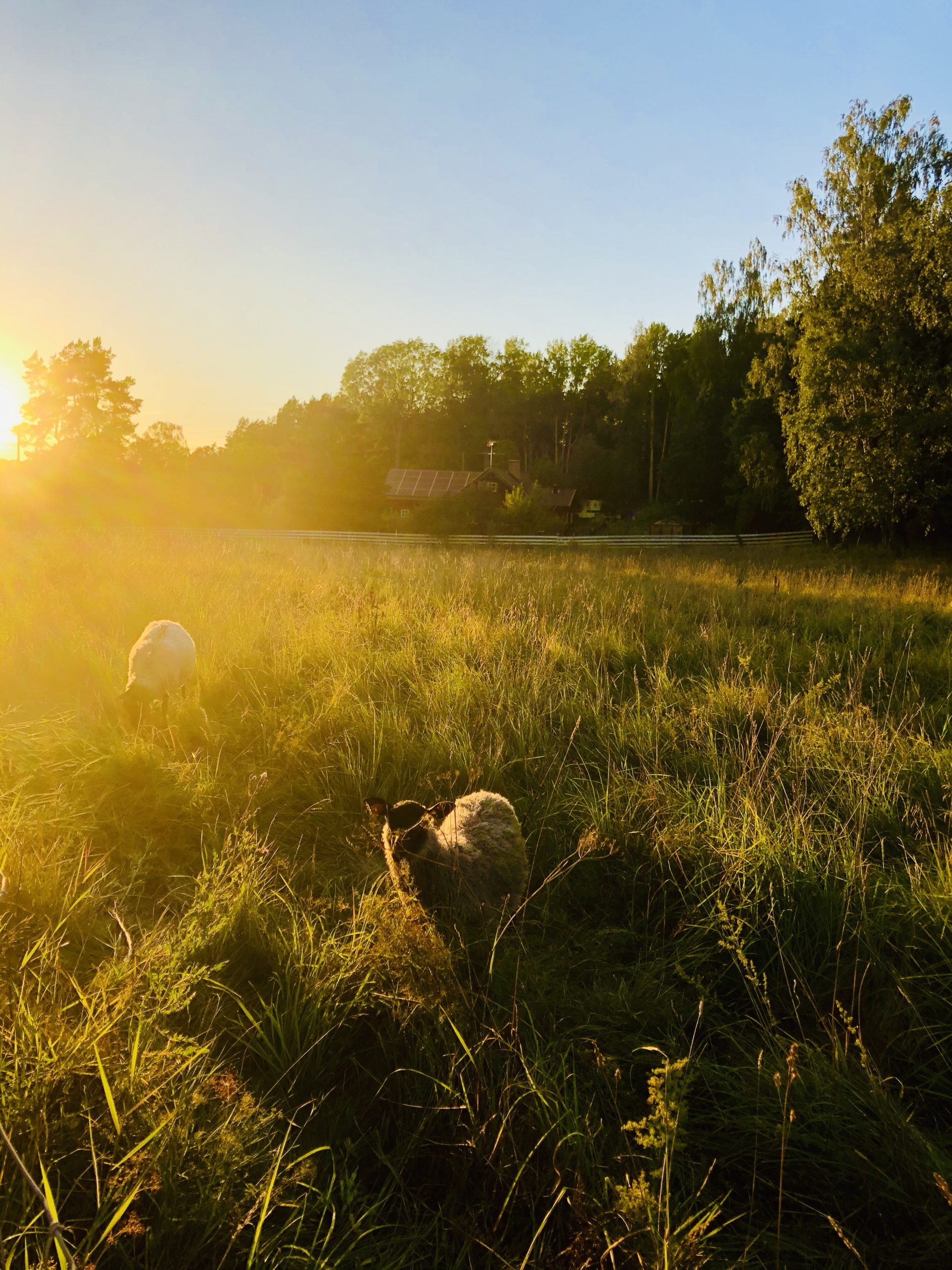 img_6627-scaled-1 - Veckans Bästa ♥ - Tillbaka med Veckans Bästa!