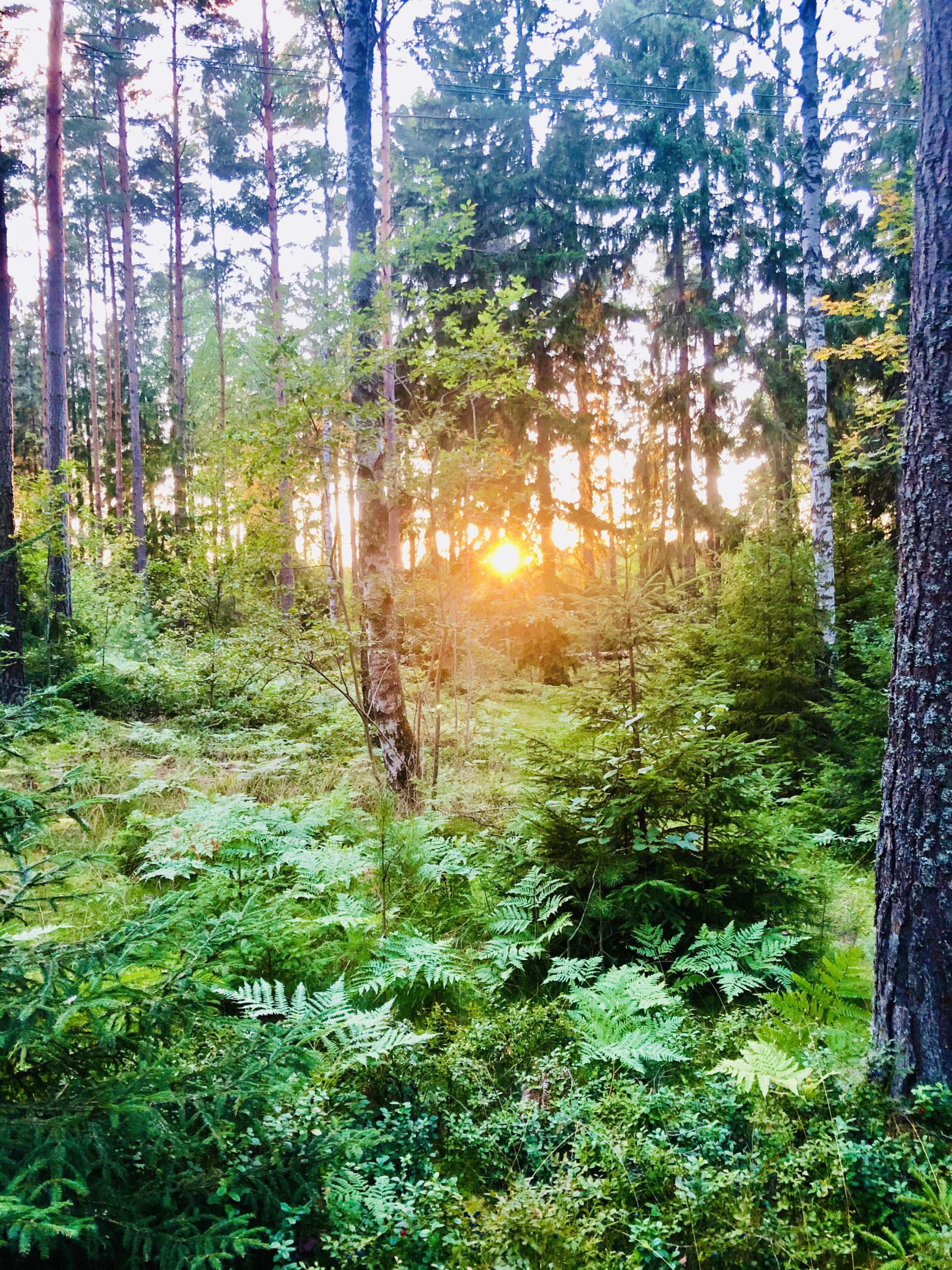 img_6632-scaled-1 - Veckans Bästa ♥ - Tillbaka med Veckans Bästa!