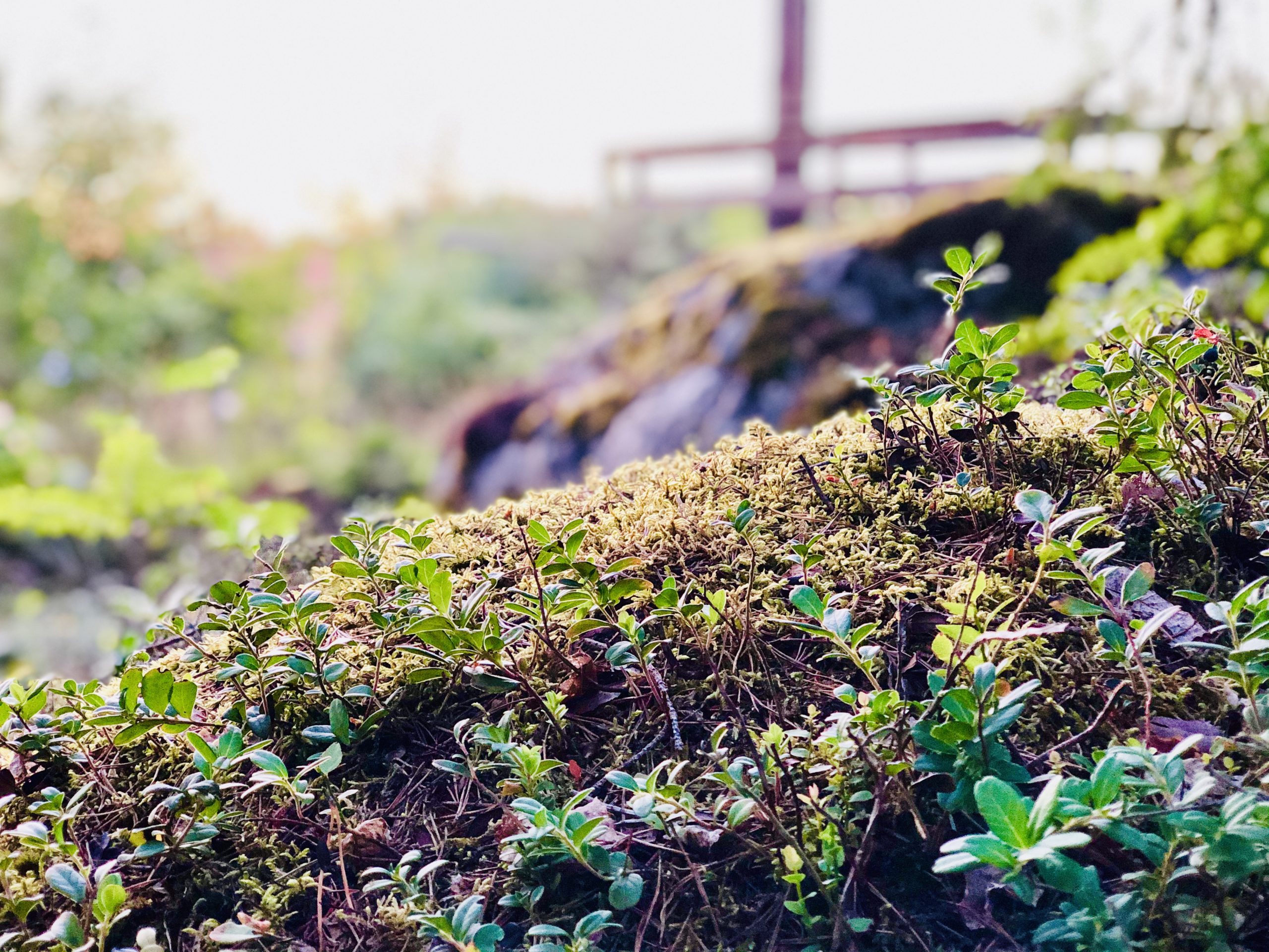 img_6635-scaled-1 - Veckans Bästa ♥ - Tillbaka med Veckans Bästa!