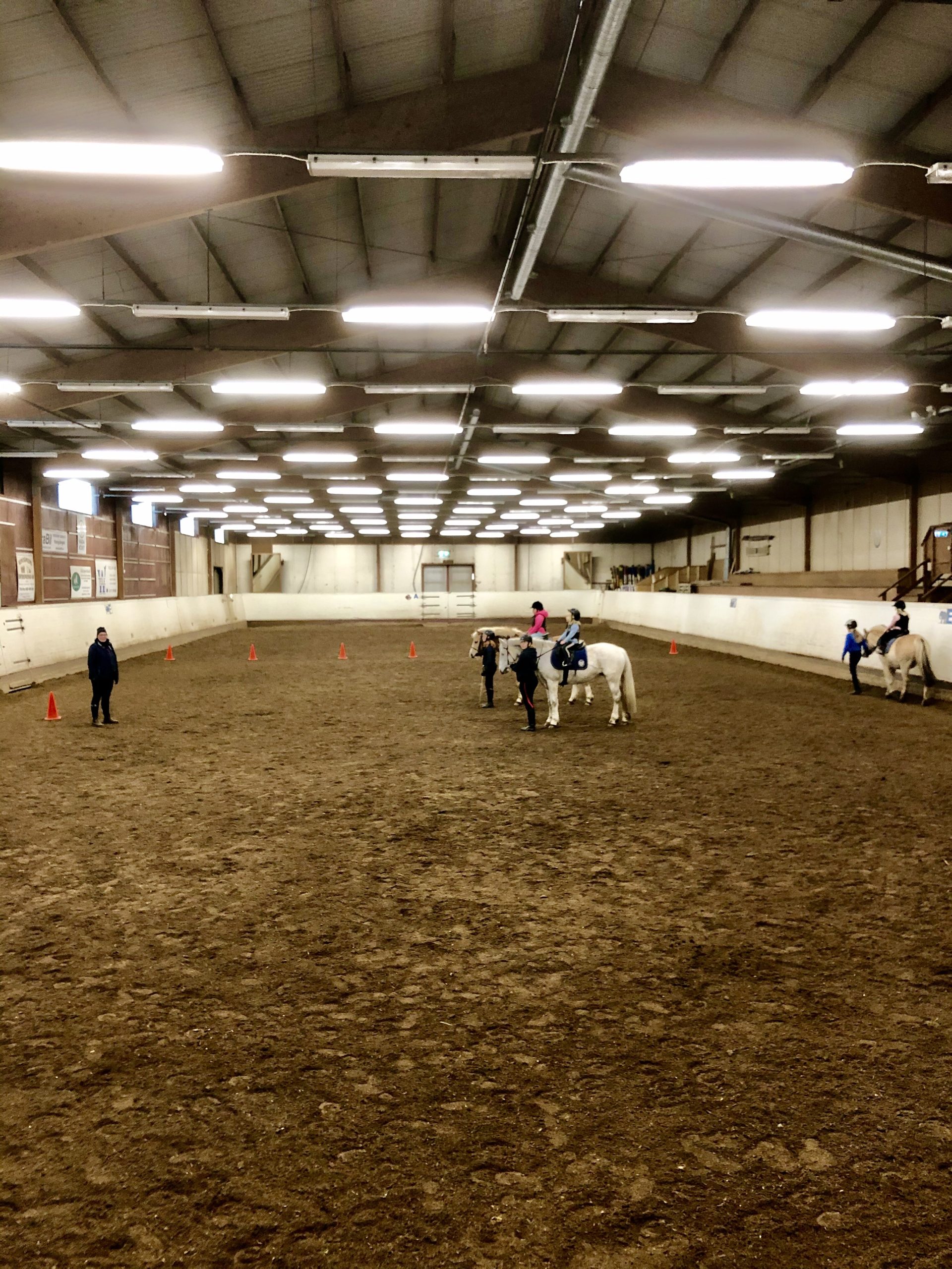 Ridning på häst i ridhus