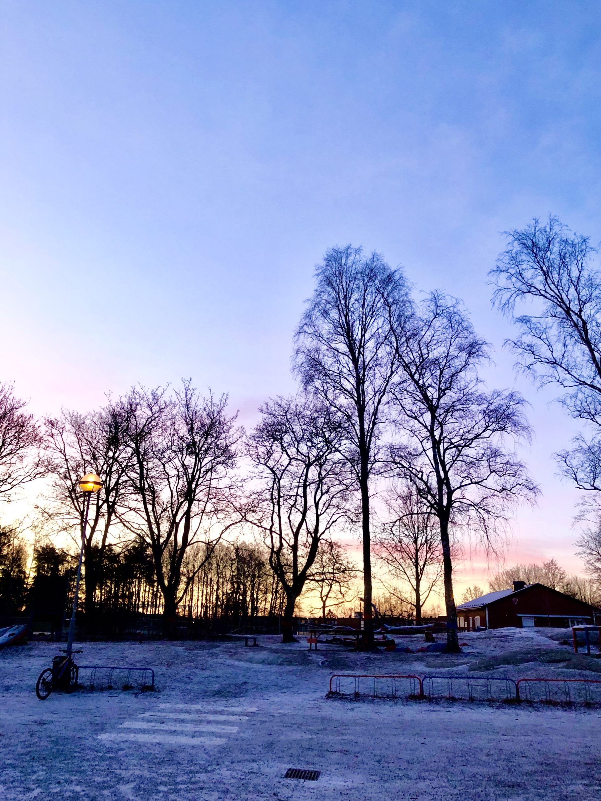 Rosa morgonhimmel i februari
