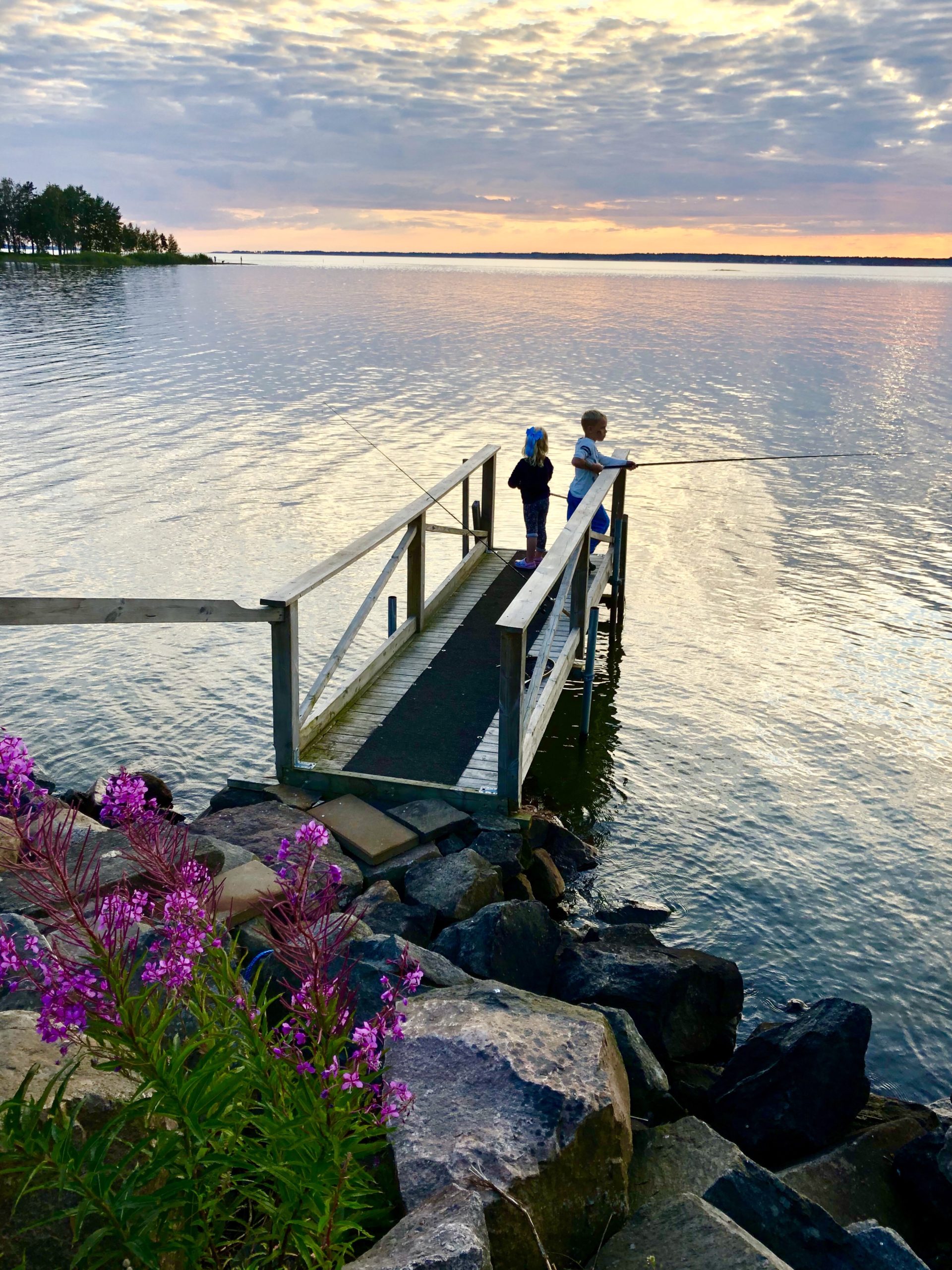 Kvällsfiske på sommaren