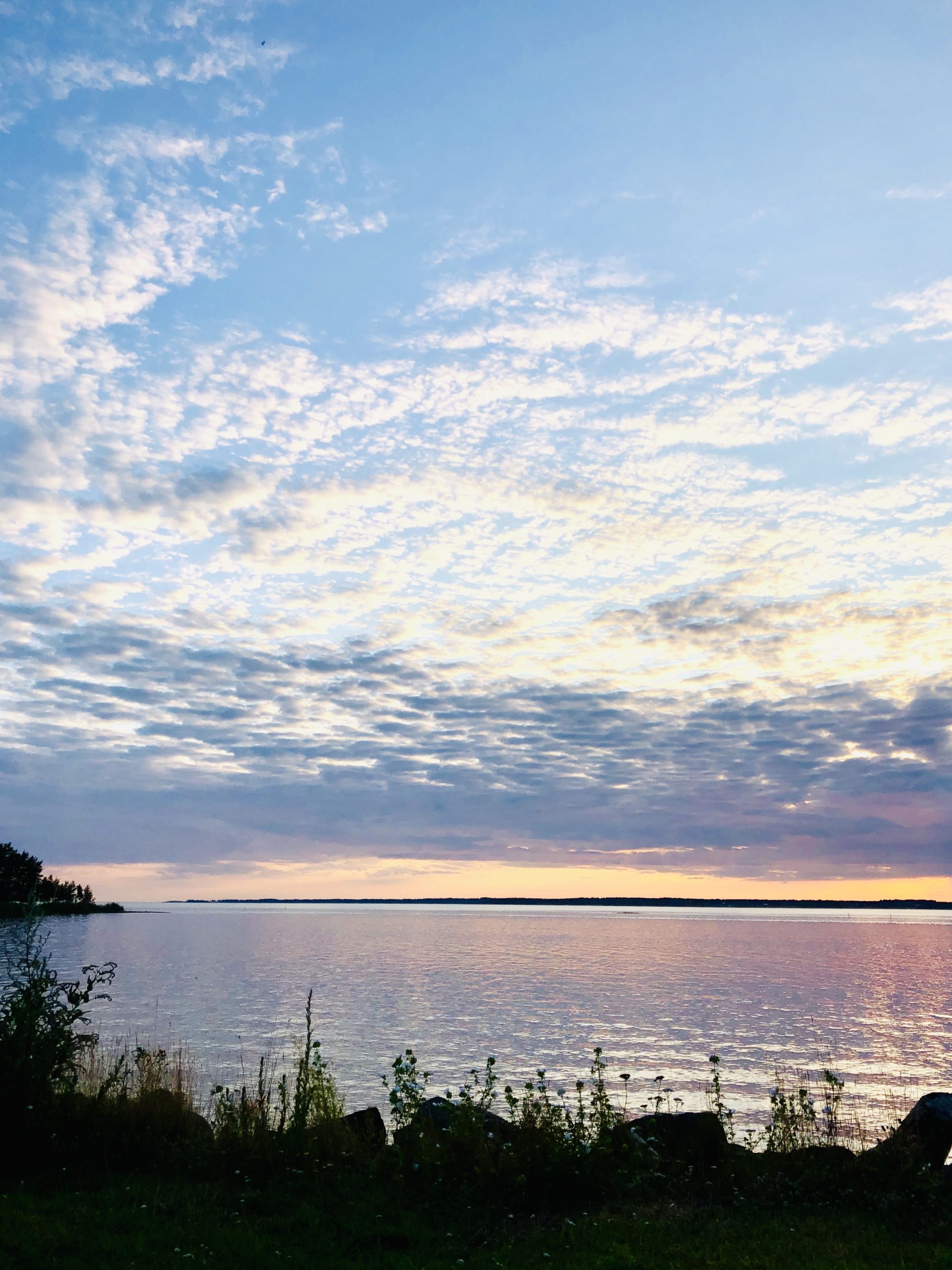 Kvällsfiske på sommaren