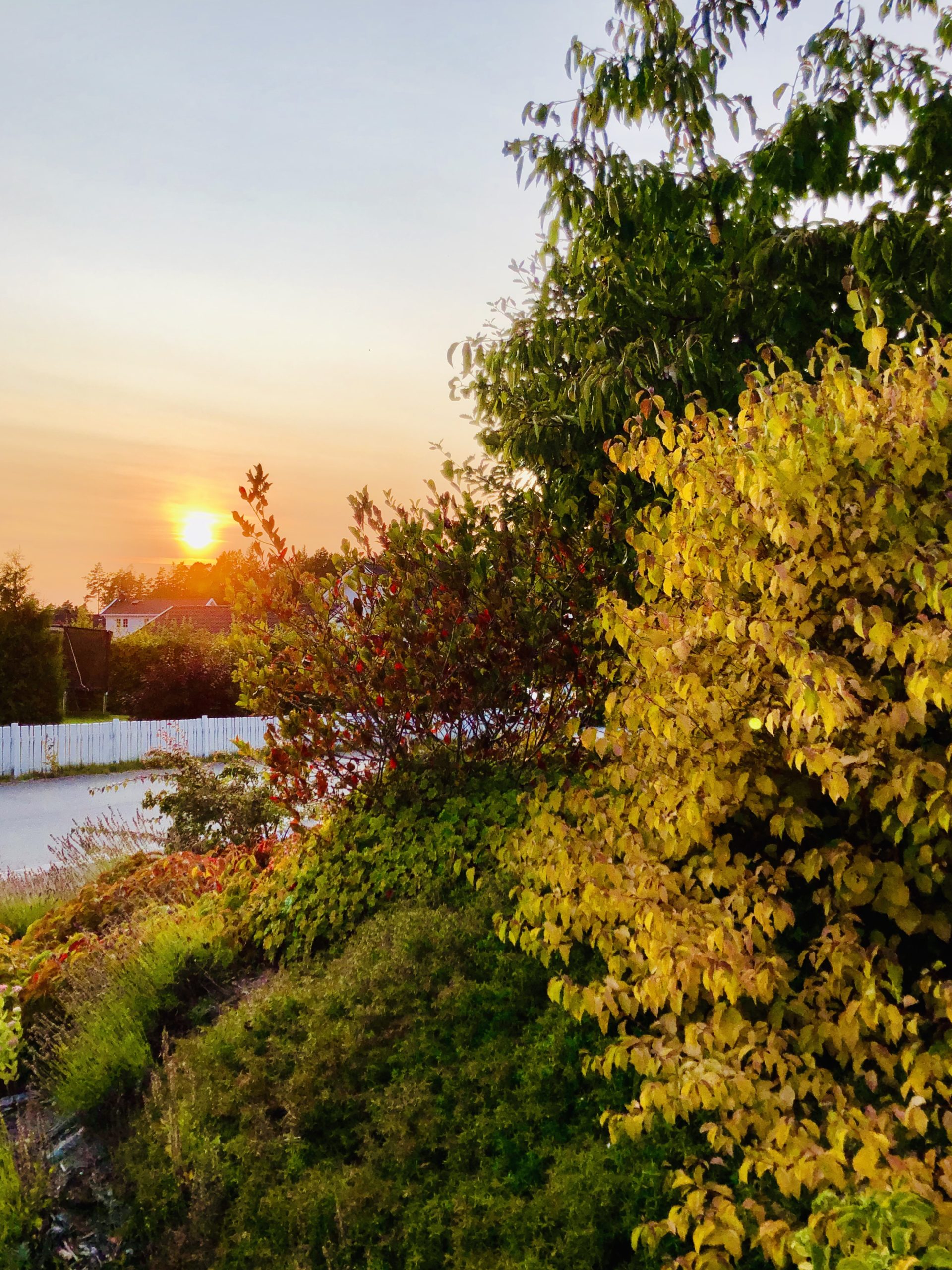 img_8562-scaled-1 - Veckans Bästa ♥