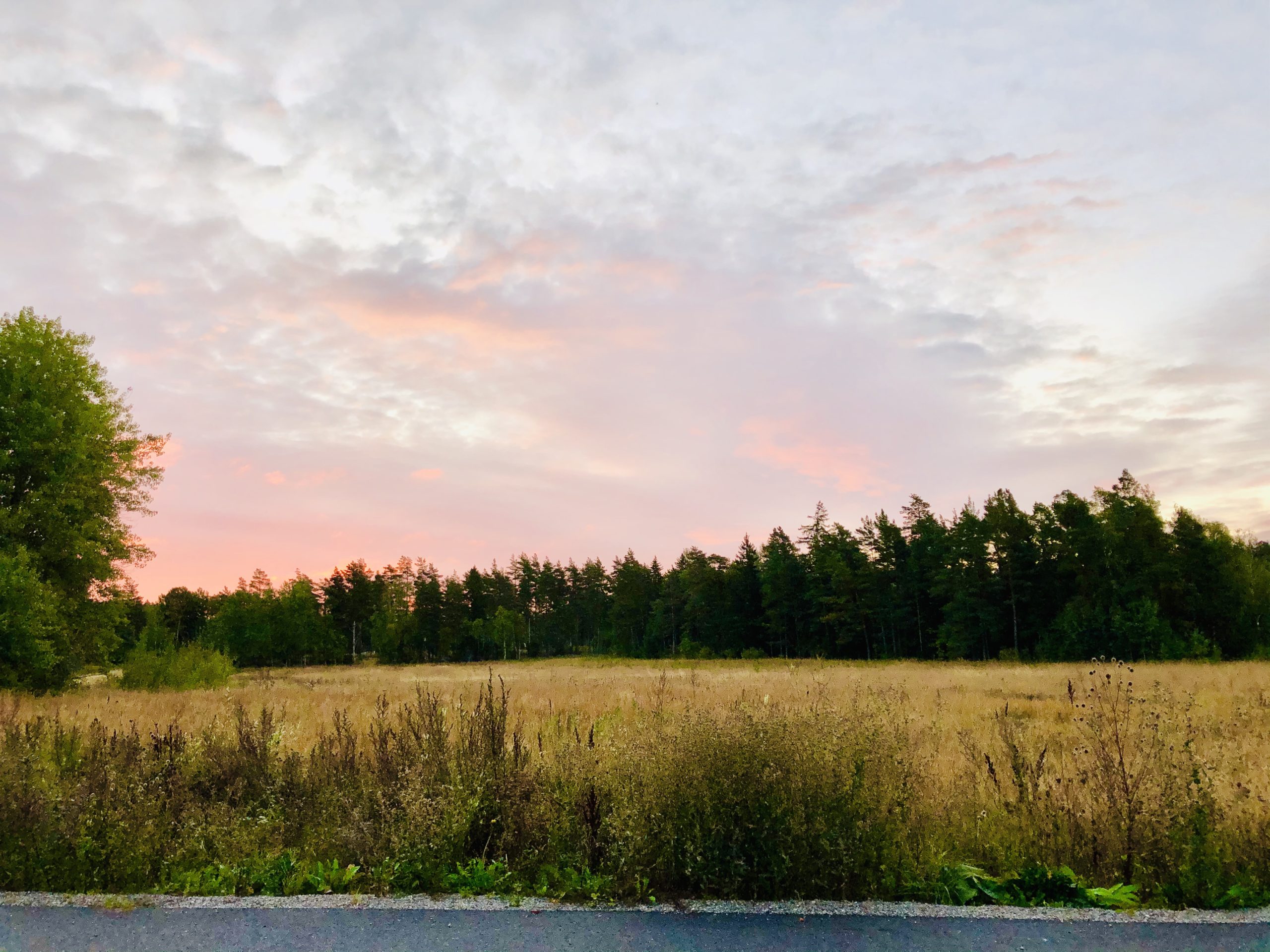 Tragedier och en rosa himmel