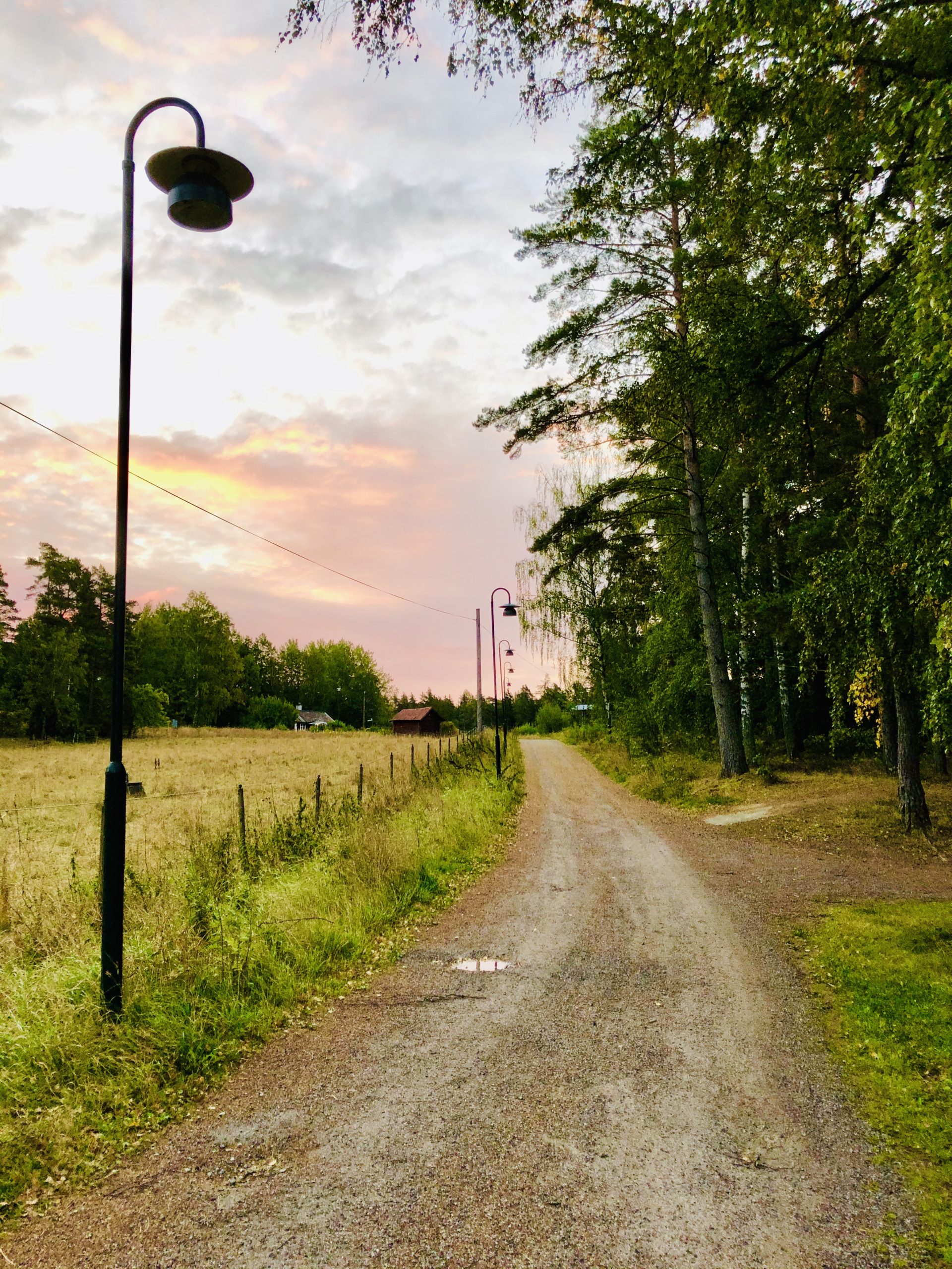 Löpning under en rosa himmel