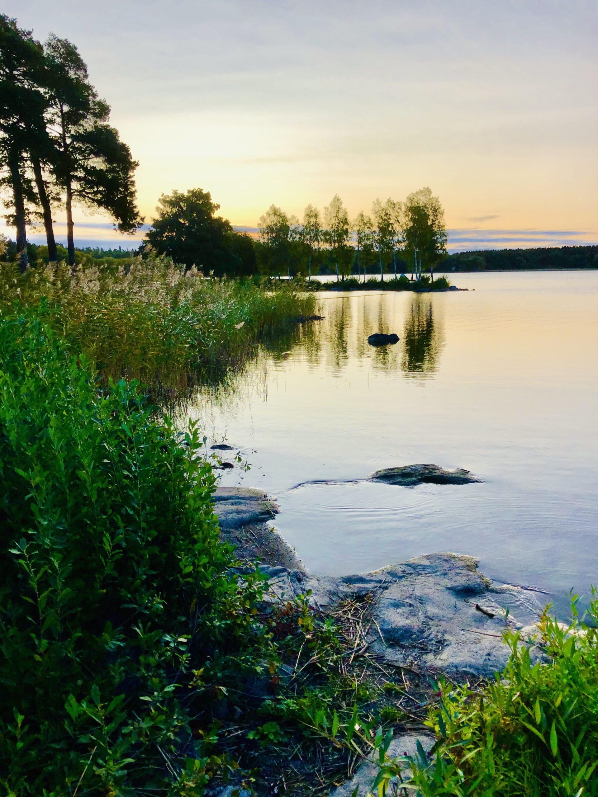 Positiva hälsoeffekter med promenader