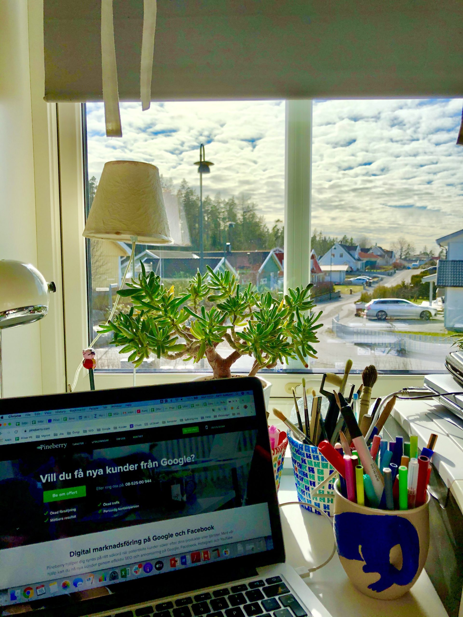 Utsikt från mitt hemmakontor