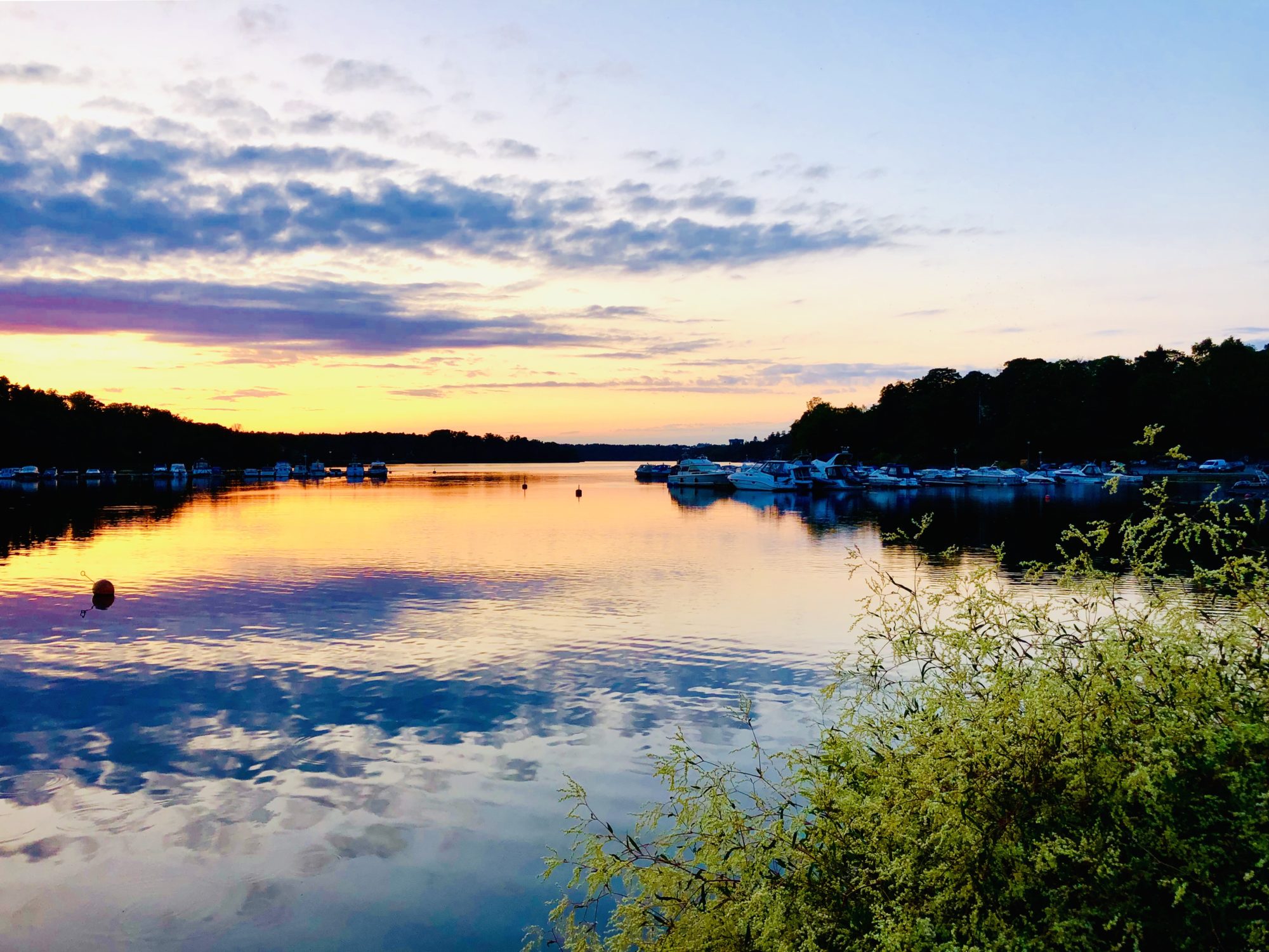 solnedgång Brunnsviken