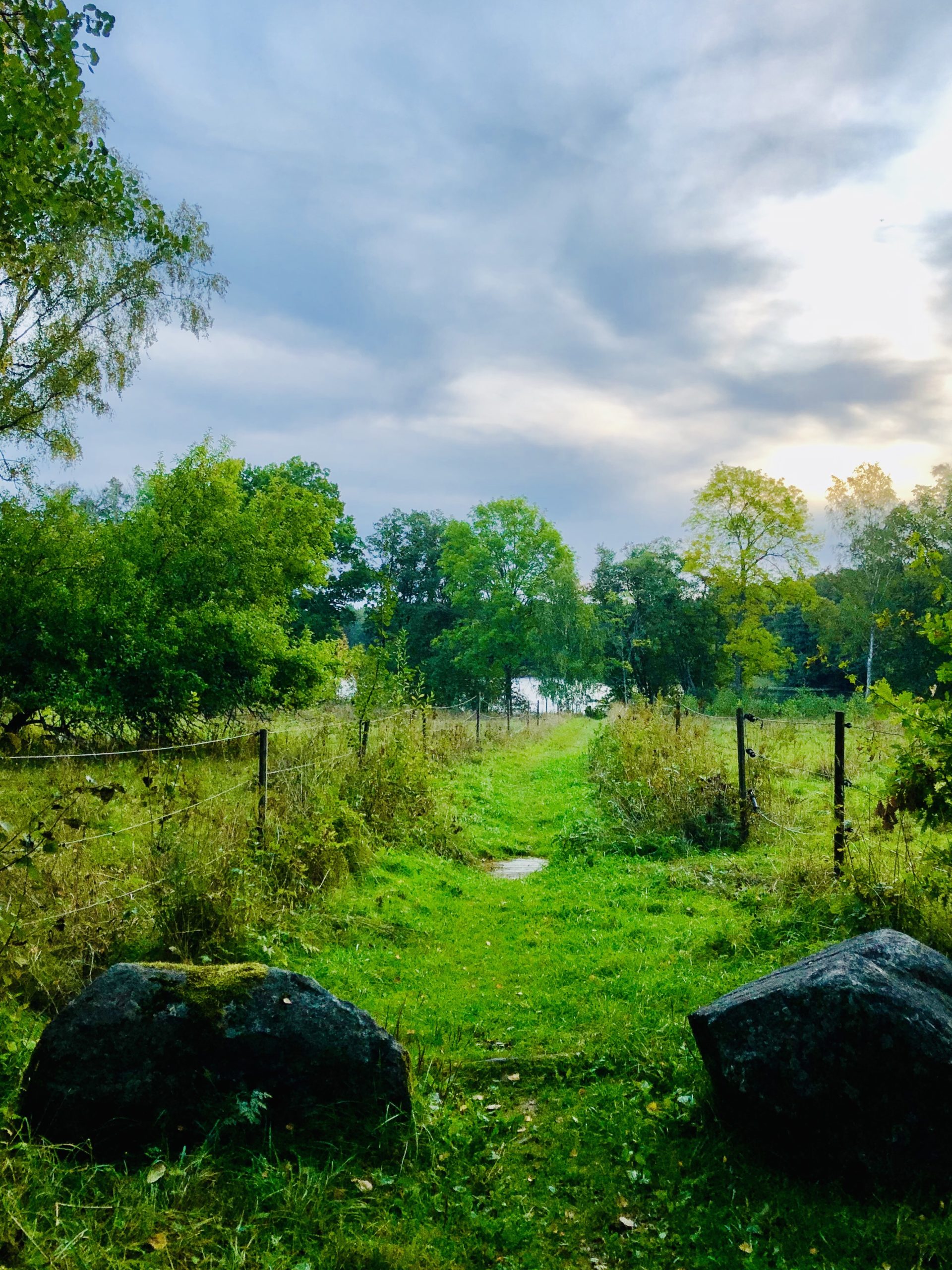 födelsedagsspring