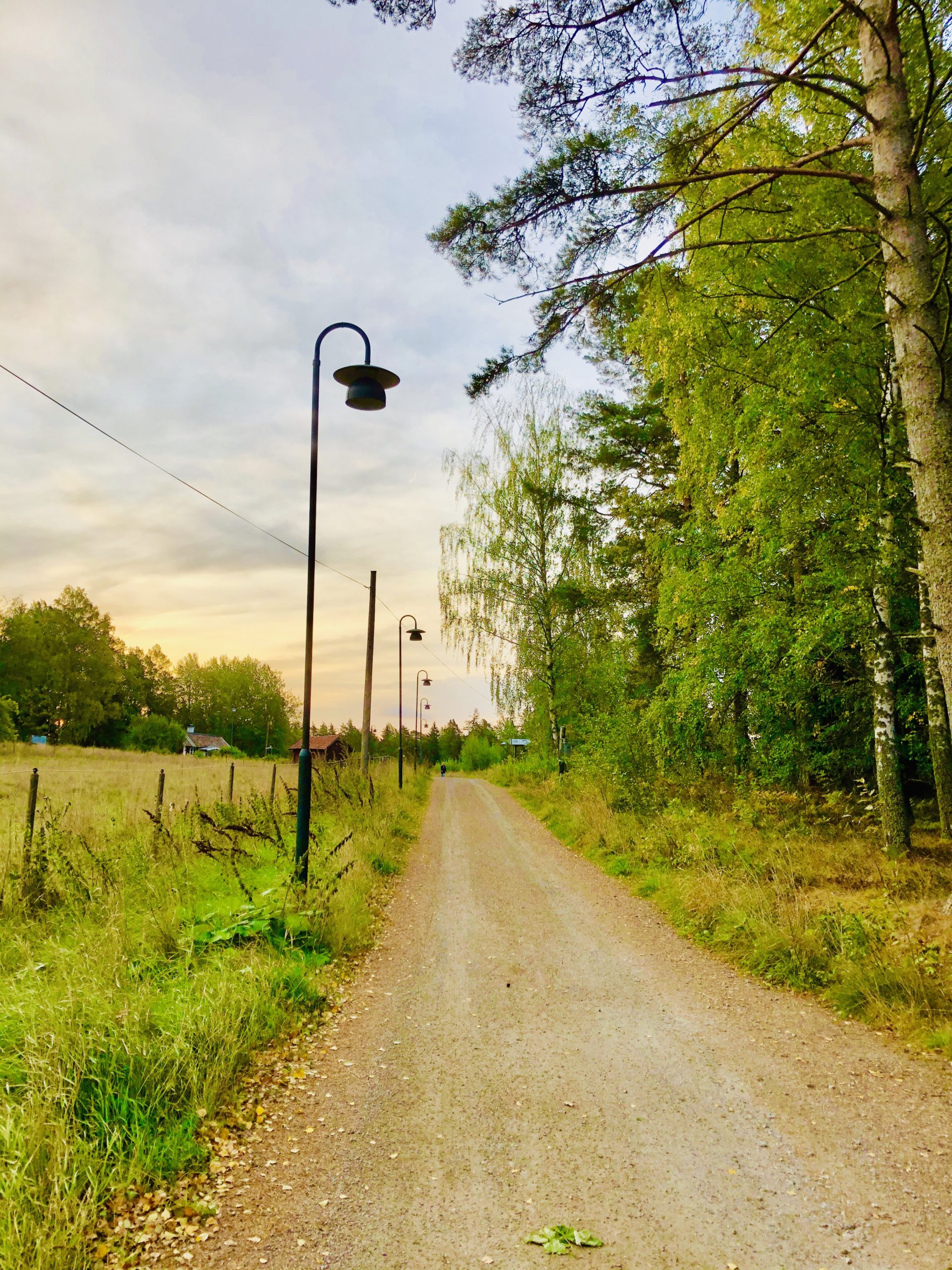 födelsedagsspring